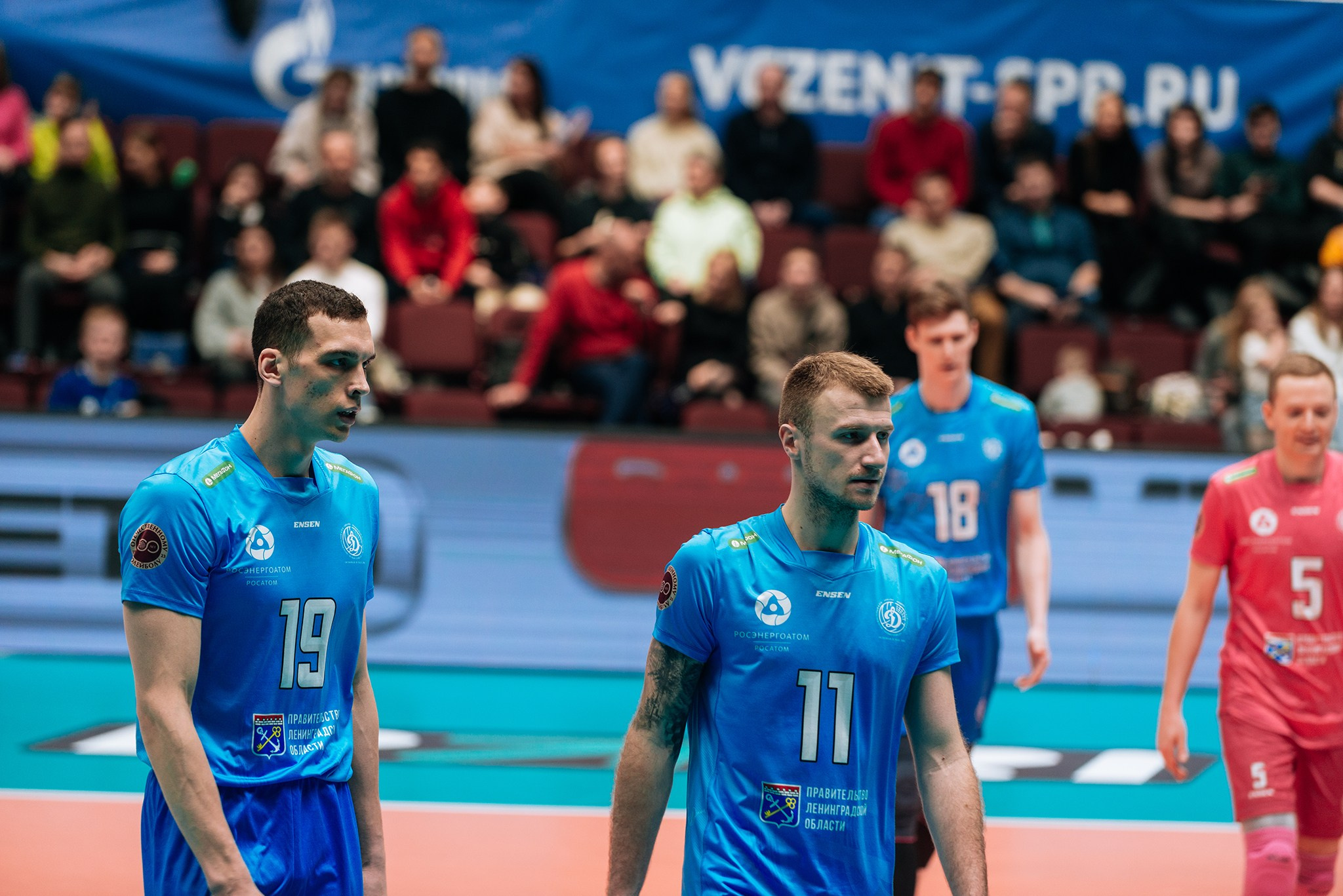 Зенит — Динамо-ЛО. Чемпионат России по волейболу. Февраль 24. Репортажный фотограф в Санкт-Петербурге Анастасия Клёпова