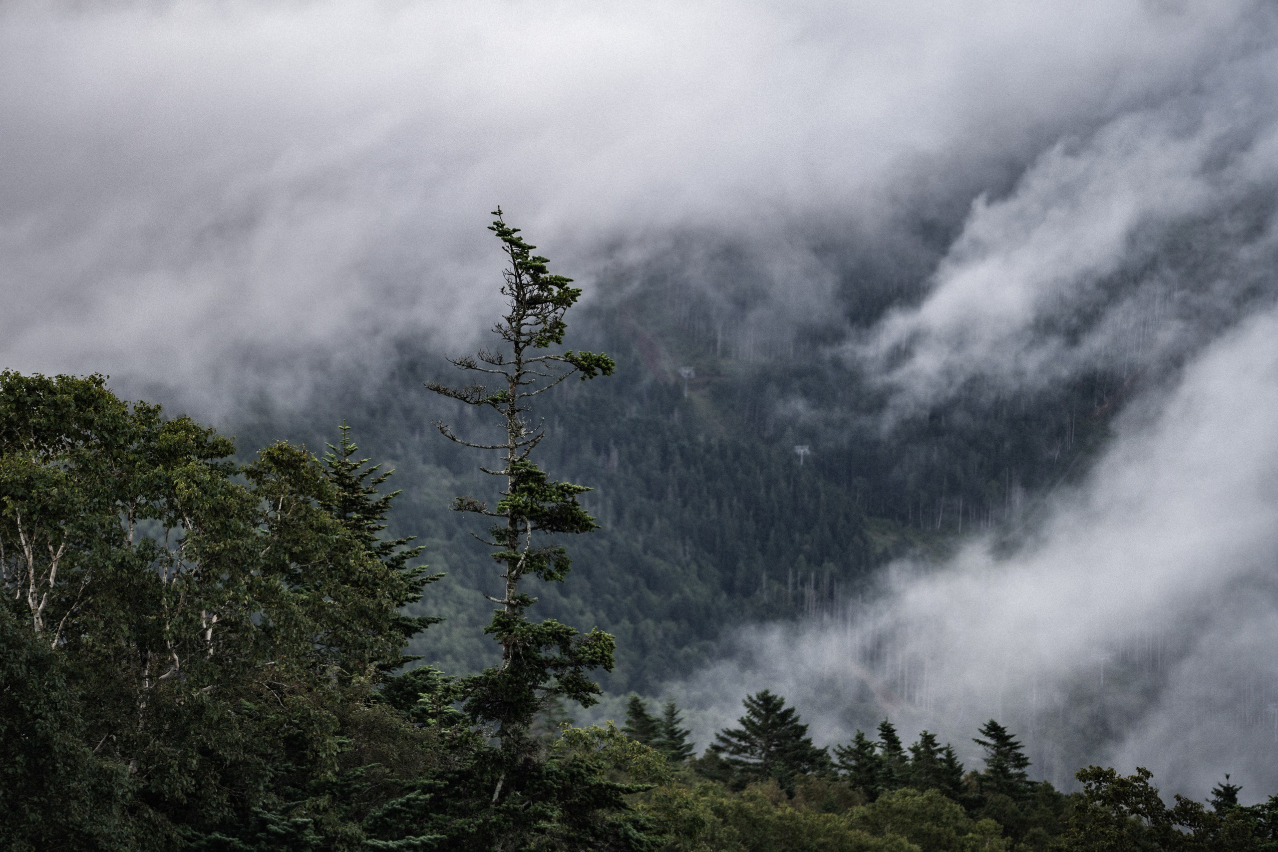 Фотограф и видеограф Нарчев Алексей