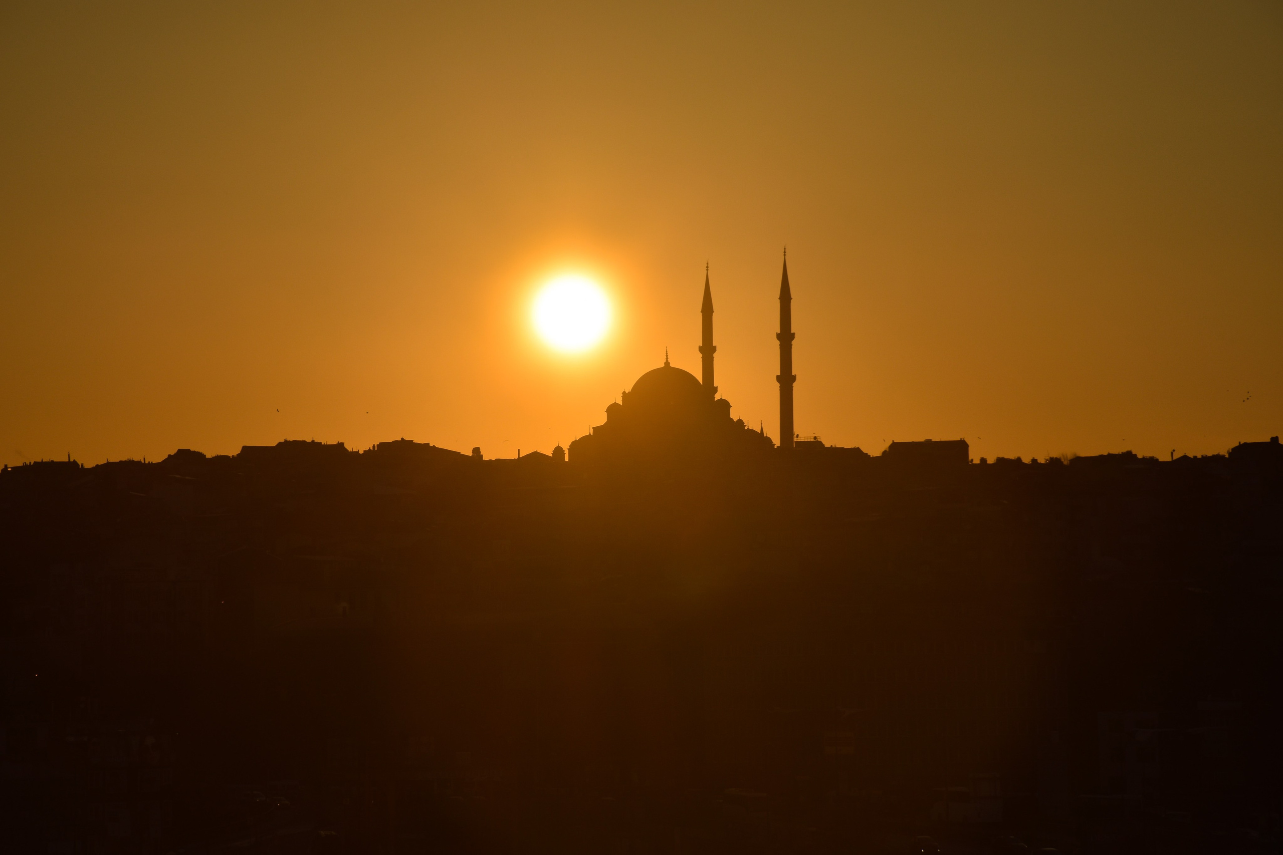 Стамбул — февраль 24. В созвучии с природой. Фотограф Светлана В. Пронина, Москва