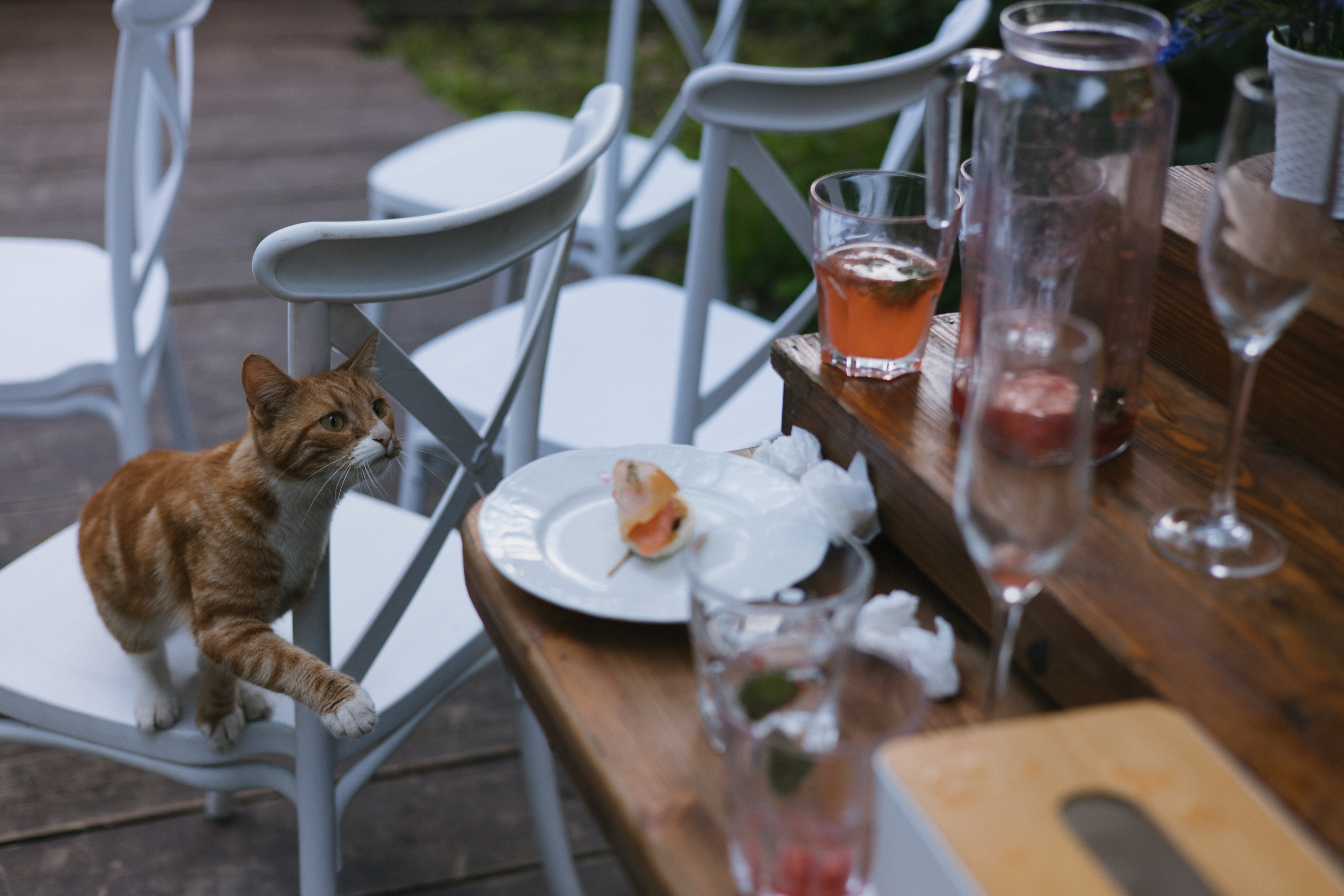 32 человека и 1 кот. Свадебный и семейный фотограф в Санкт-Петербурге и Москве