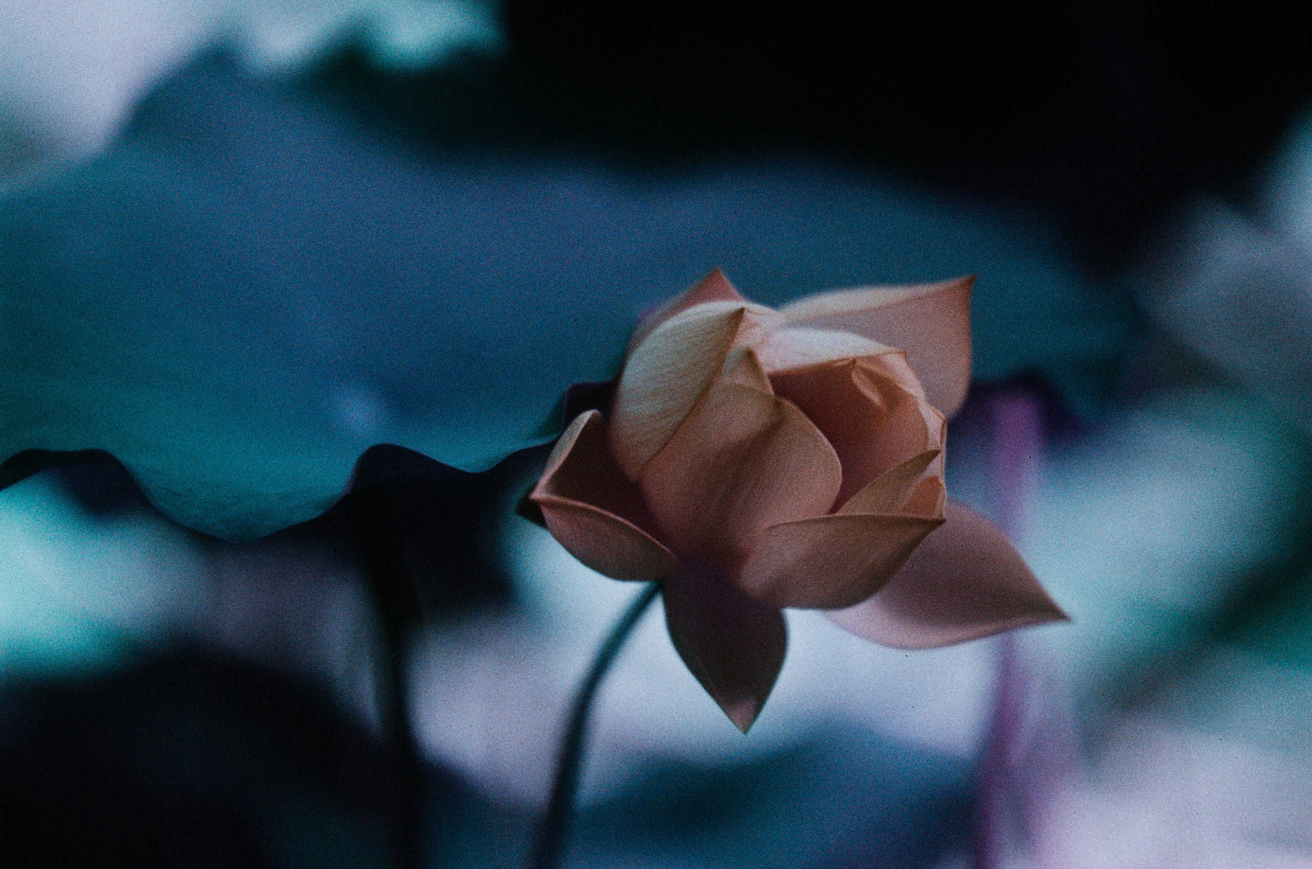 Everything i could never say to you. EVER EXPOSED