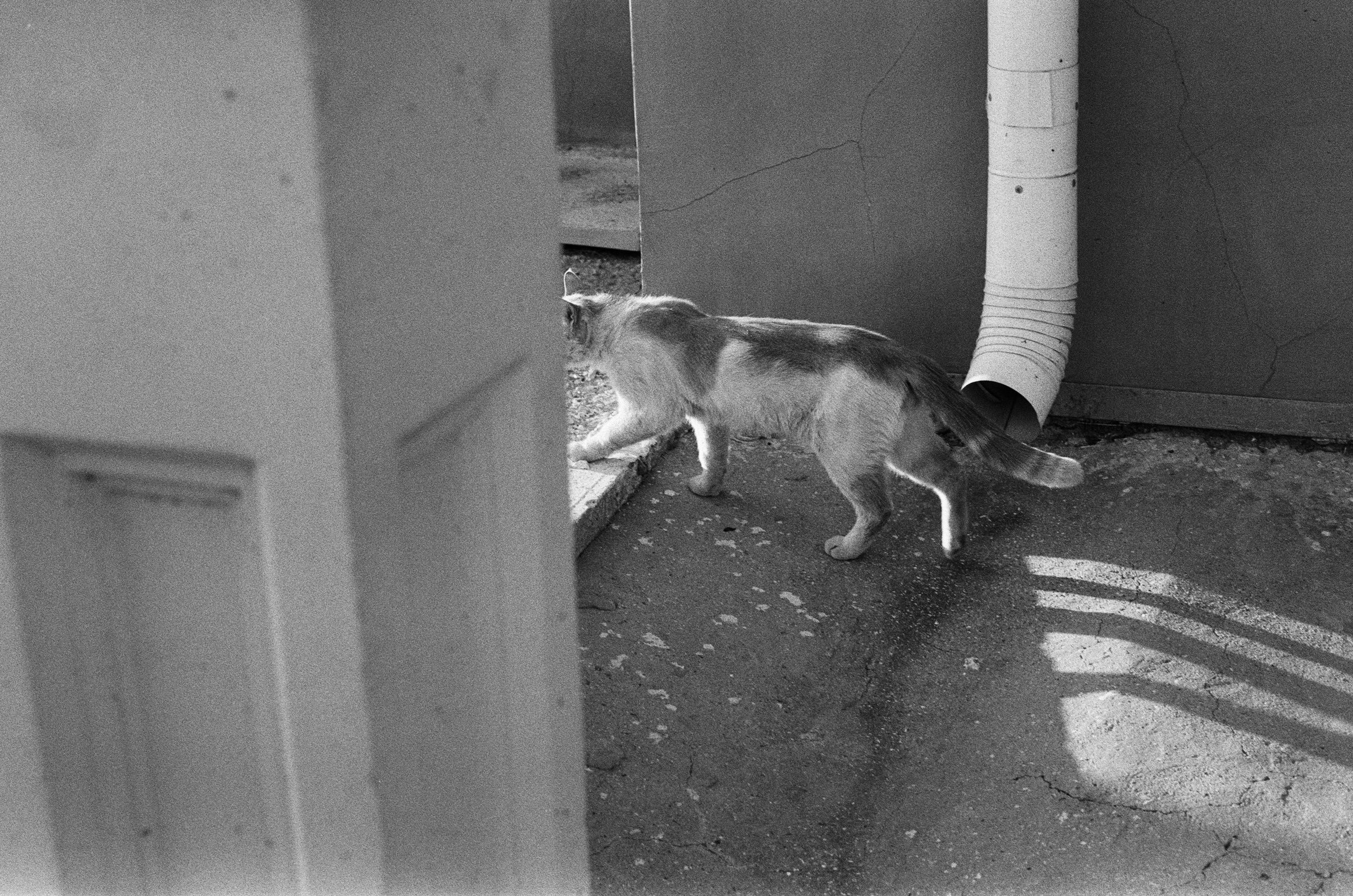 Oblomki chuvstv // ukraine, crimea V. EVER EXPOSED