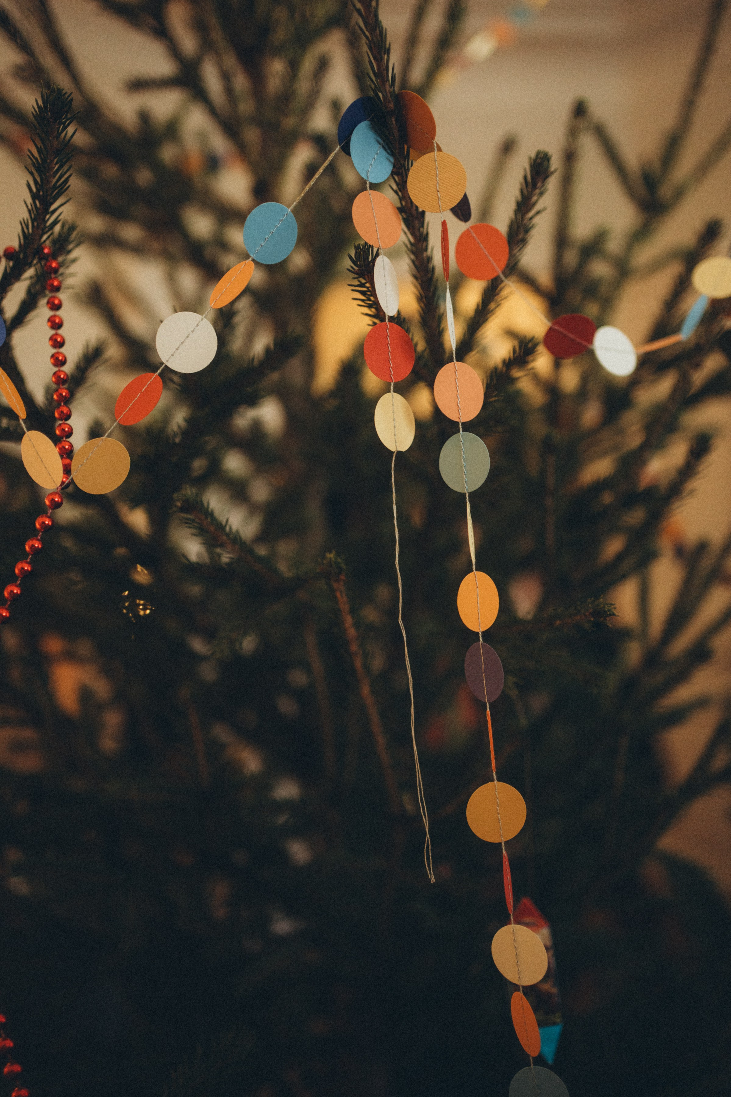 Новогодний карнавал. Семейный и детский фотограф и видеограф в Москве, Серпухове и Тарусе Валерия Сорокина