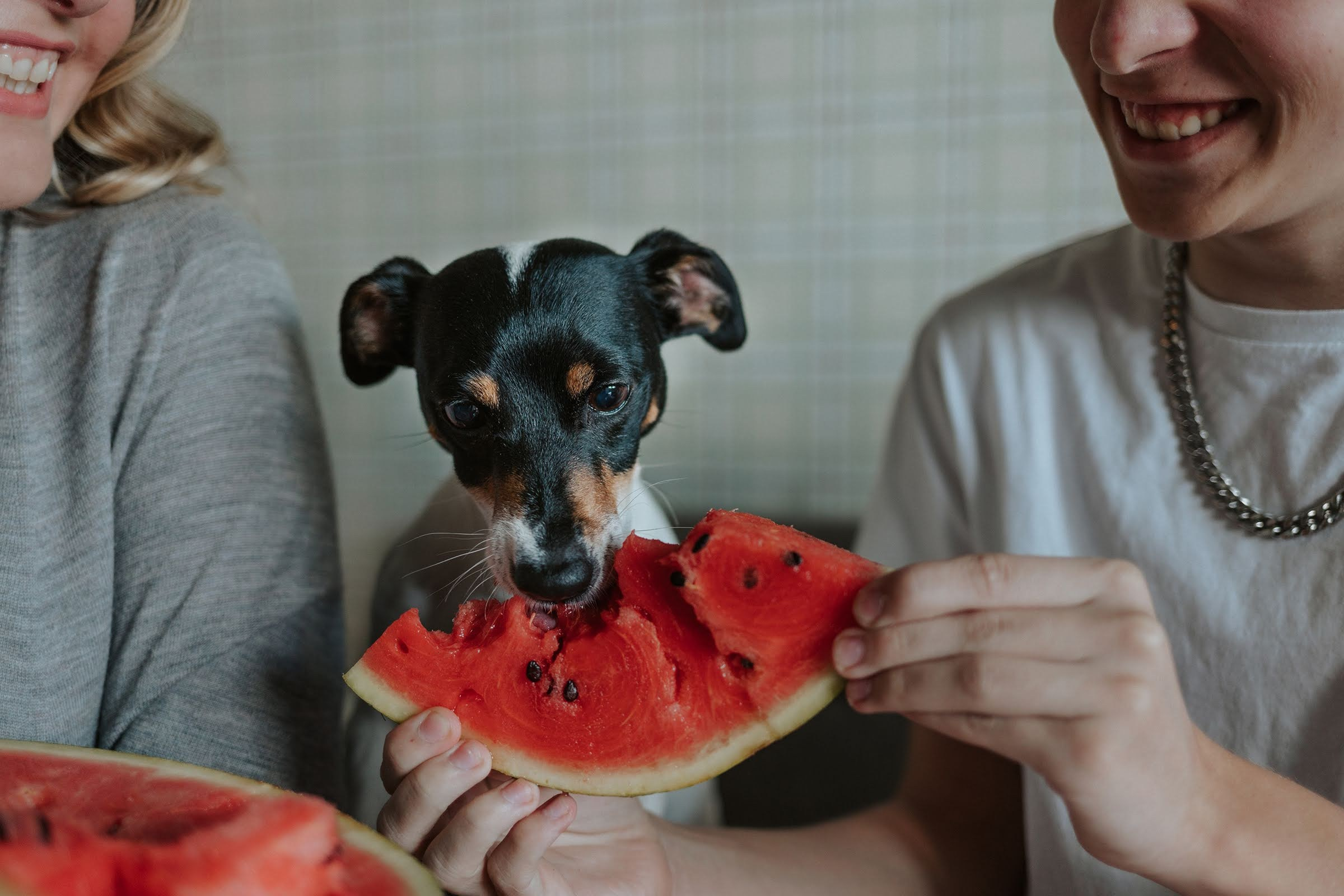 Семейный домашний фотограф Москва Ивантеевка Пушкино Ирина Якштес