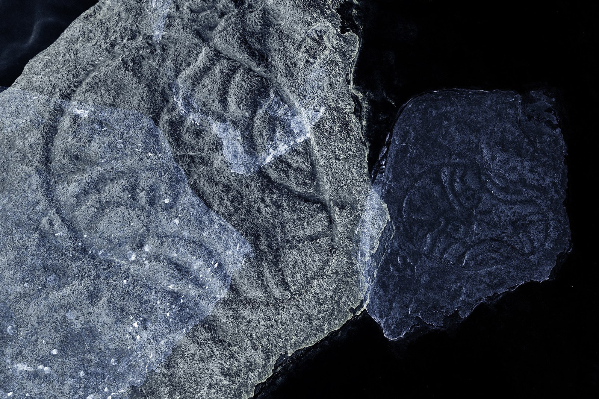 Проект «Стражи времени"/project «Gurdians of time». SHELESTOV