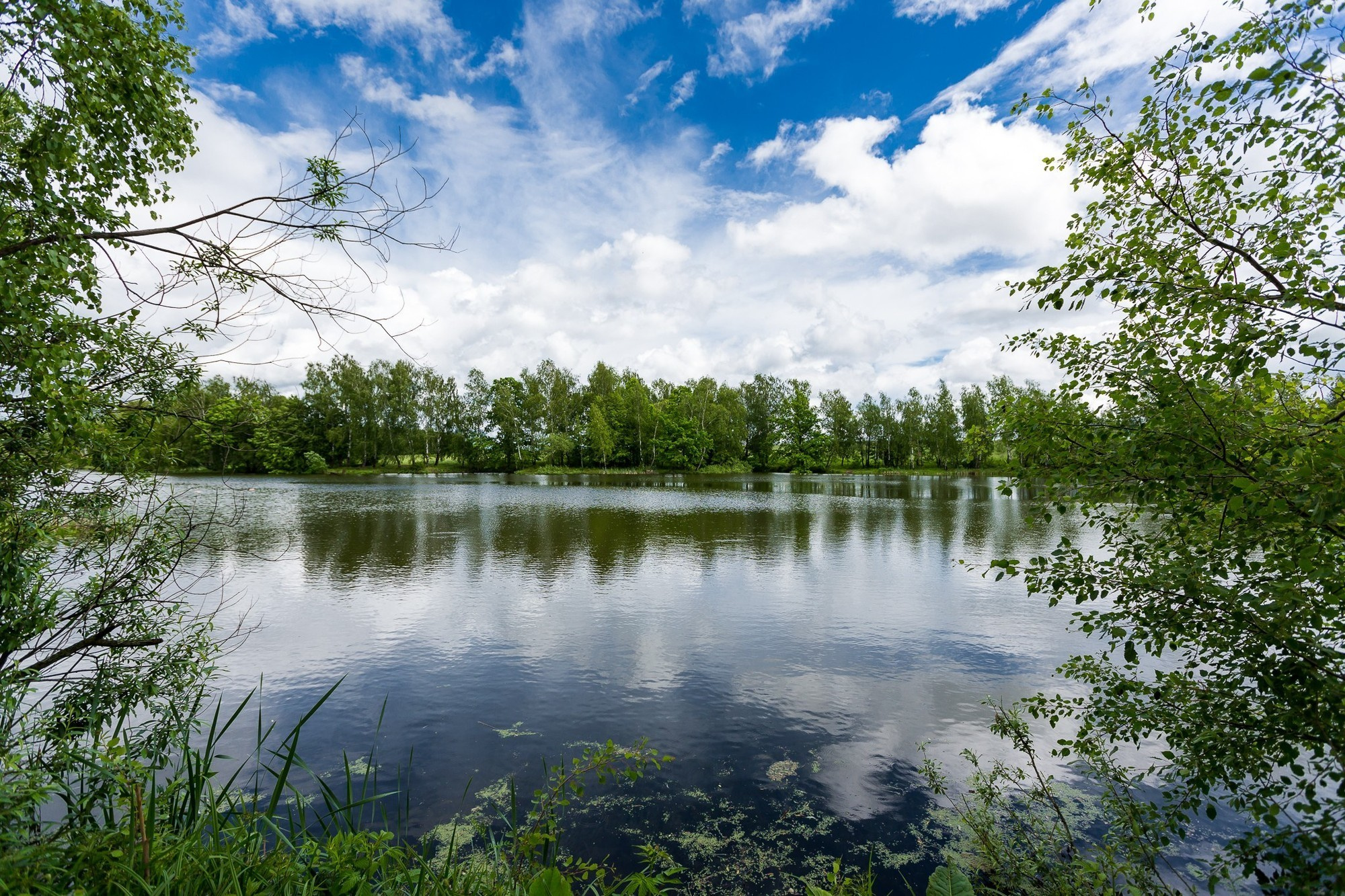 ДОМ ДЛЯ Good Wood #17. Фотограф рынка недвижимости Павел Хоменко