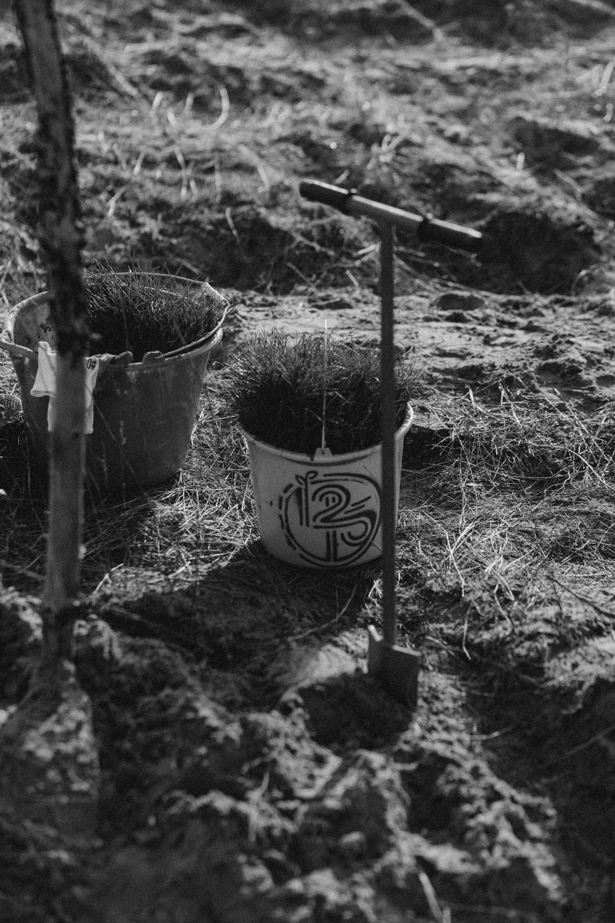 Акция «Лес будущего». Артём Панфилов — Свадебный и семейный фотограф в Ростове-на-Дону