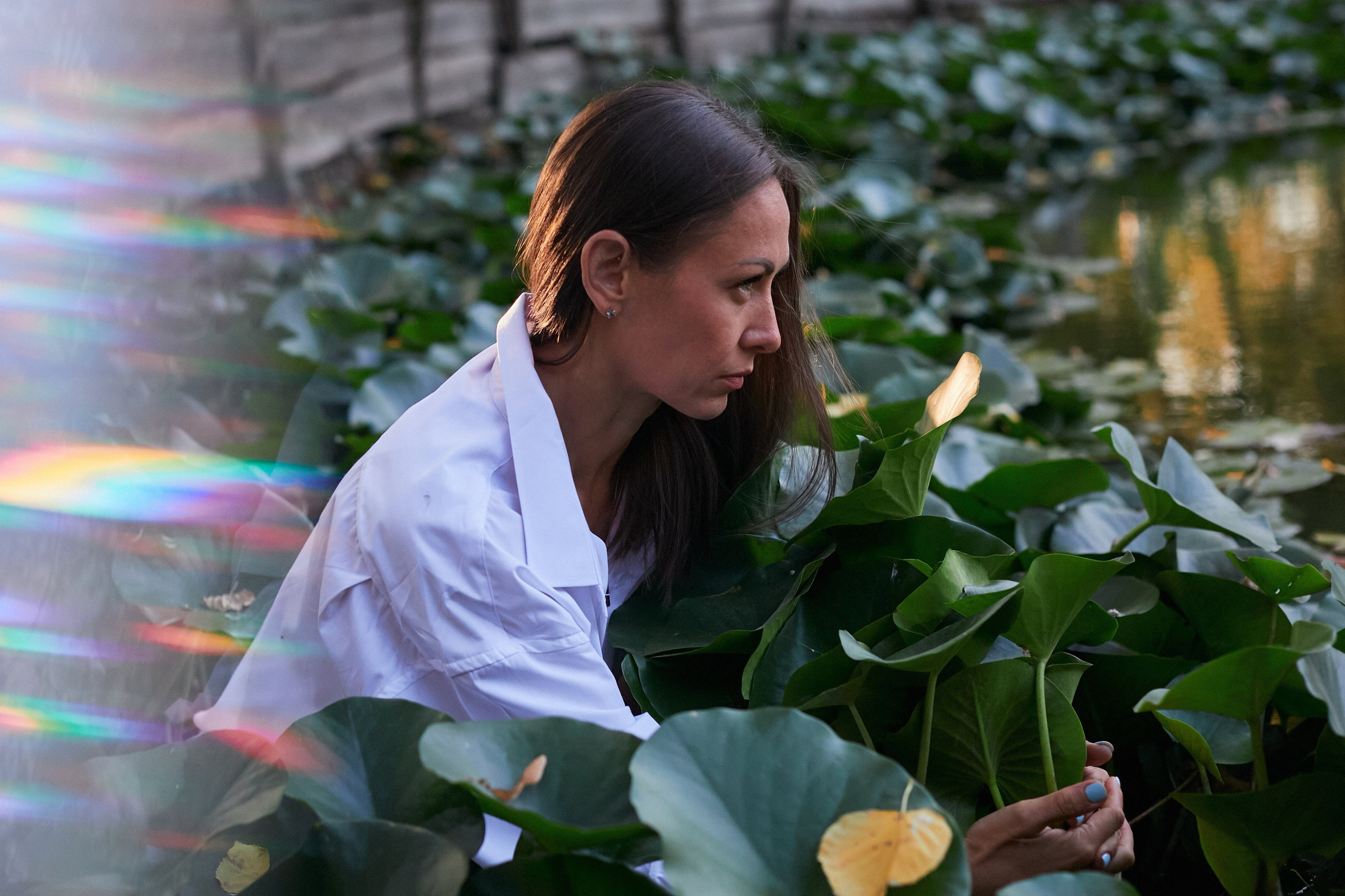 «В кувшинках». Свадебный и креативный фотограф в ЮФО и МСК