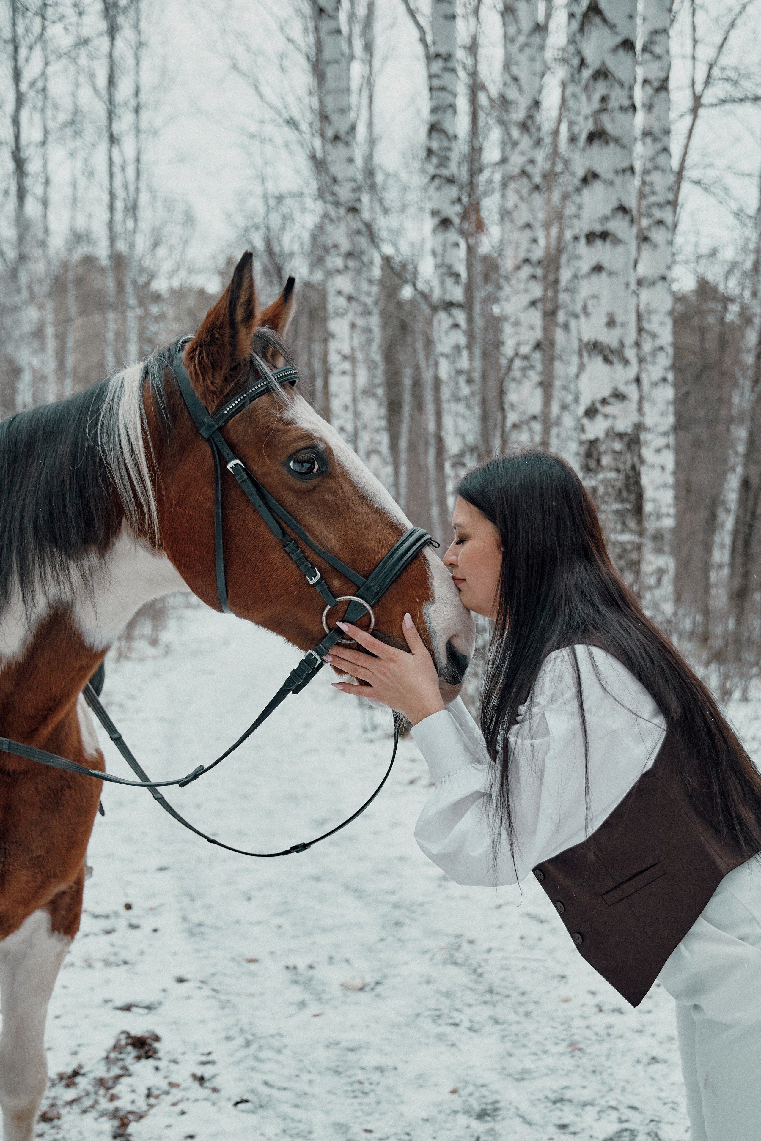 Horse. Фотограф Света Бажина