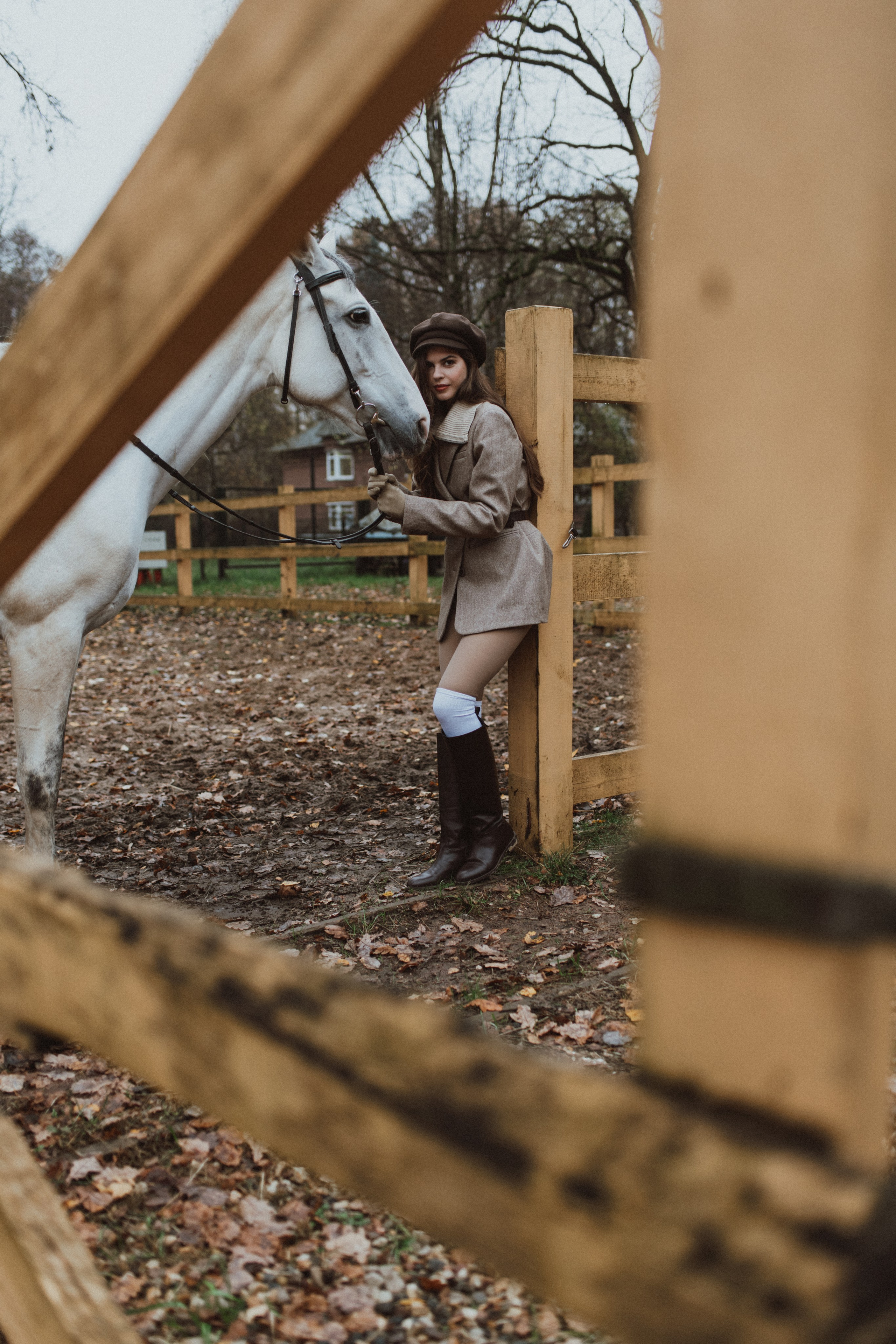 «Осенний ветер и грациозный скакун». Фотограф в Москве/Зарайске Шахова Марина