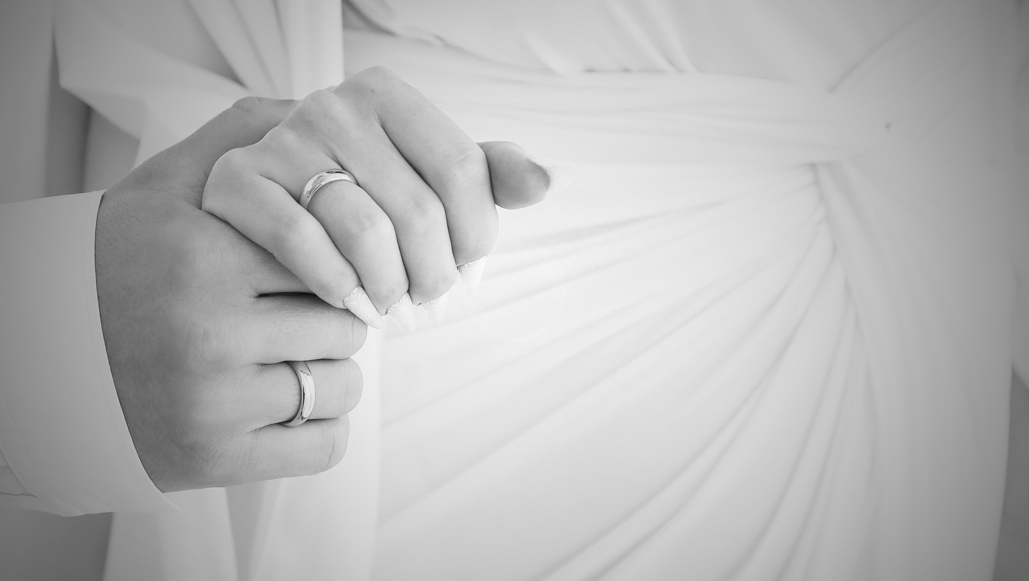 Студия Максима Белослюдцева