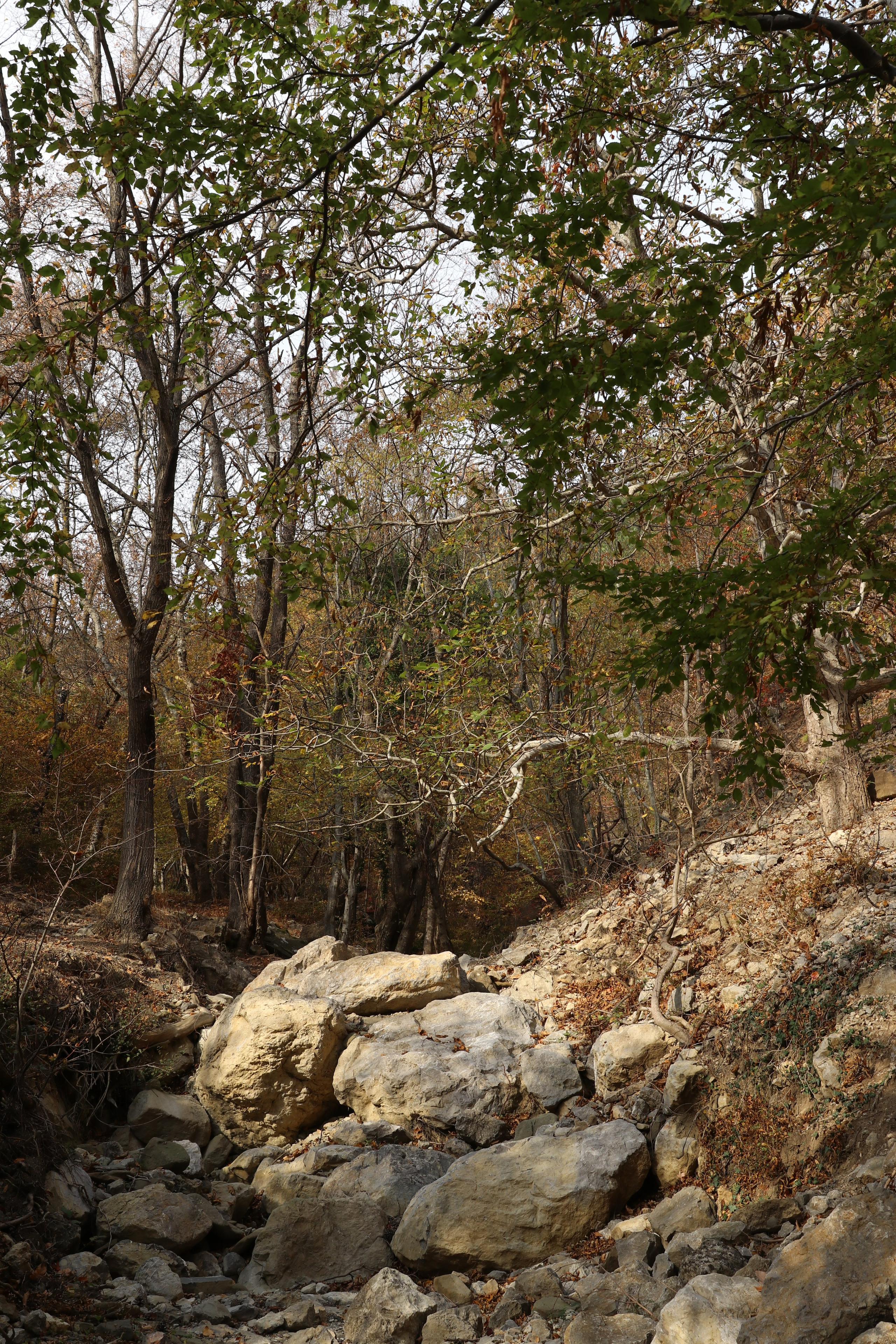 Крым. ЮБК (Гурзуф, Судак и их окрестности). Ноябрь 2023. Путешественник-фотограф из Санкт-Петербурга Татьяна Свистулина