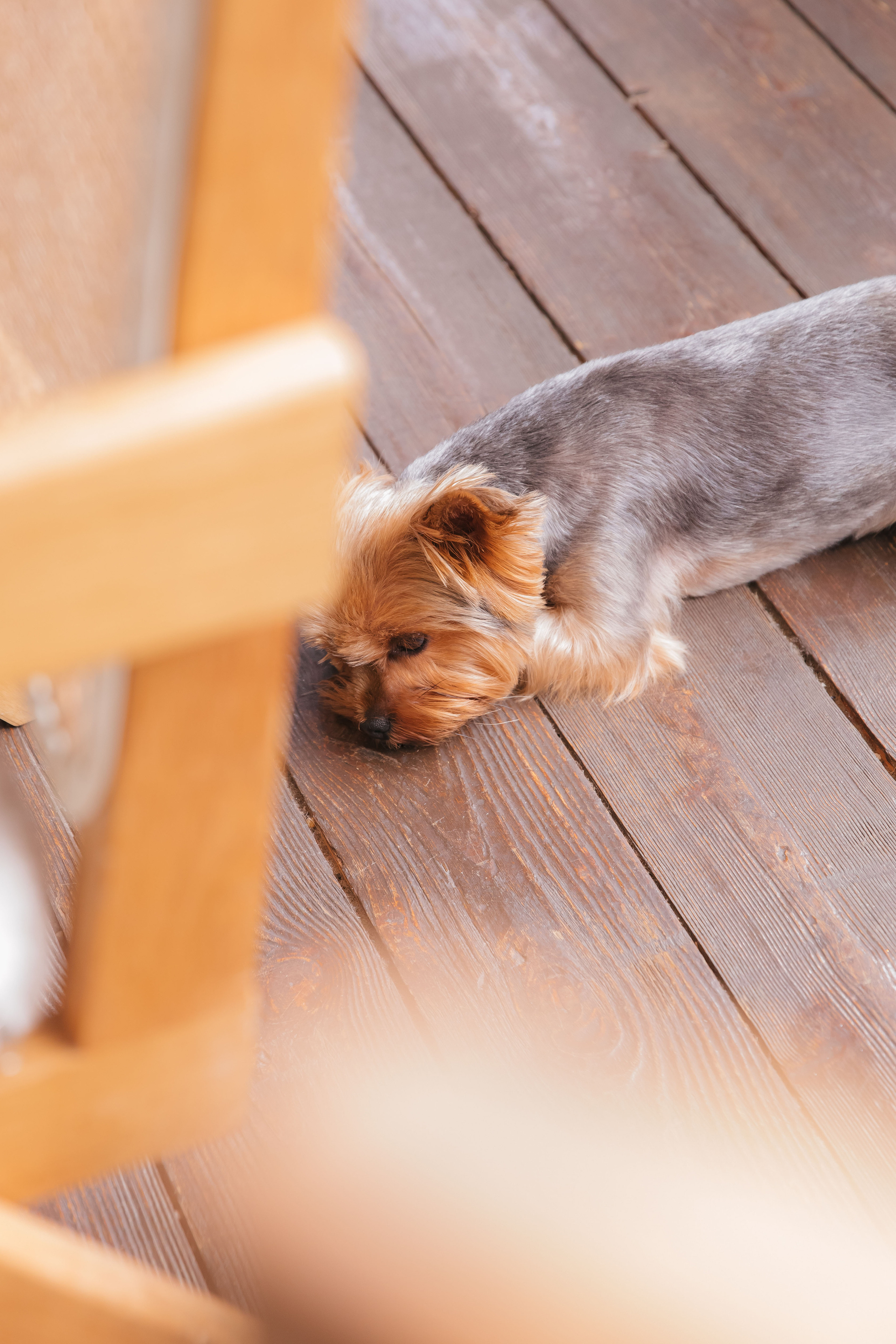 Василина и Антон. Свадебный и семейный фотограф в Санкт- Петербурге Гугучкина Полина