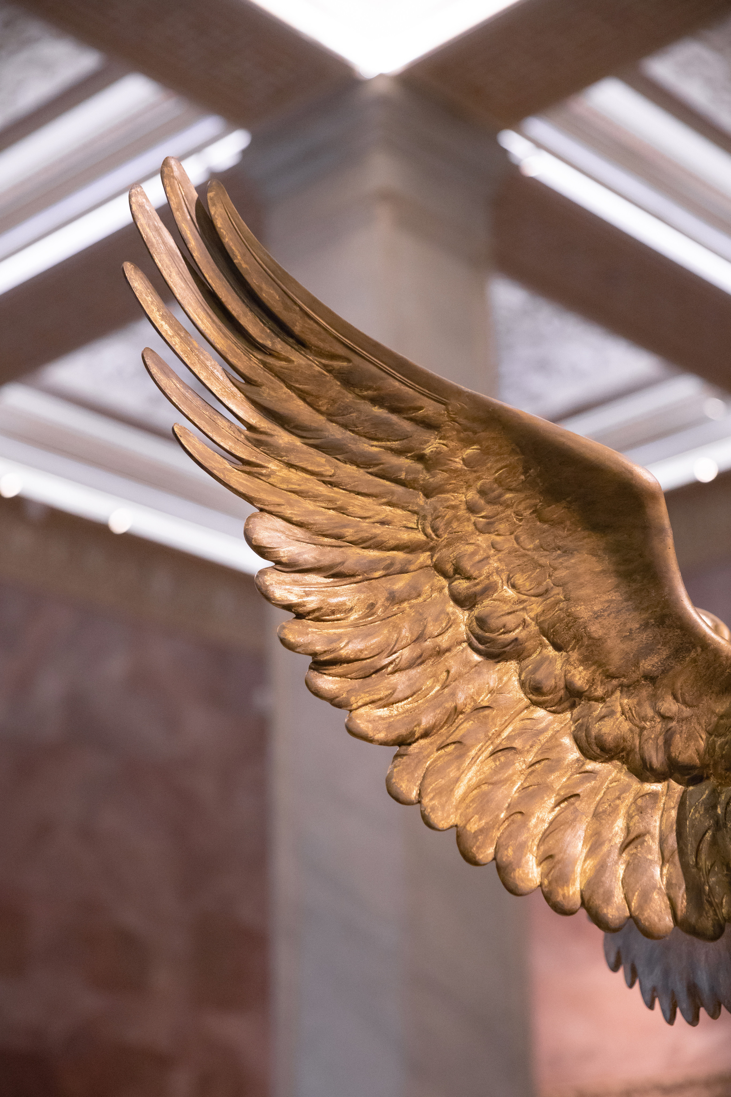 Лера. Свадебный и семейный фотограф в Санкт- Петербурге Гугучкина Полина