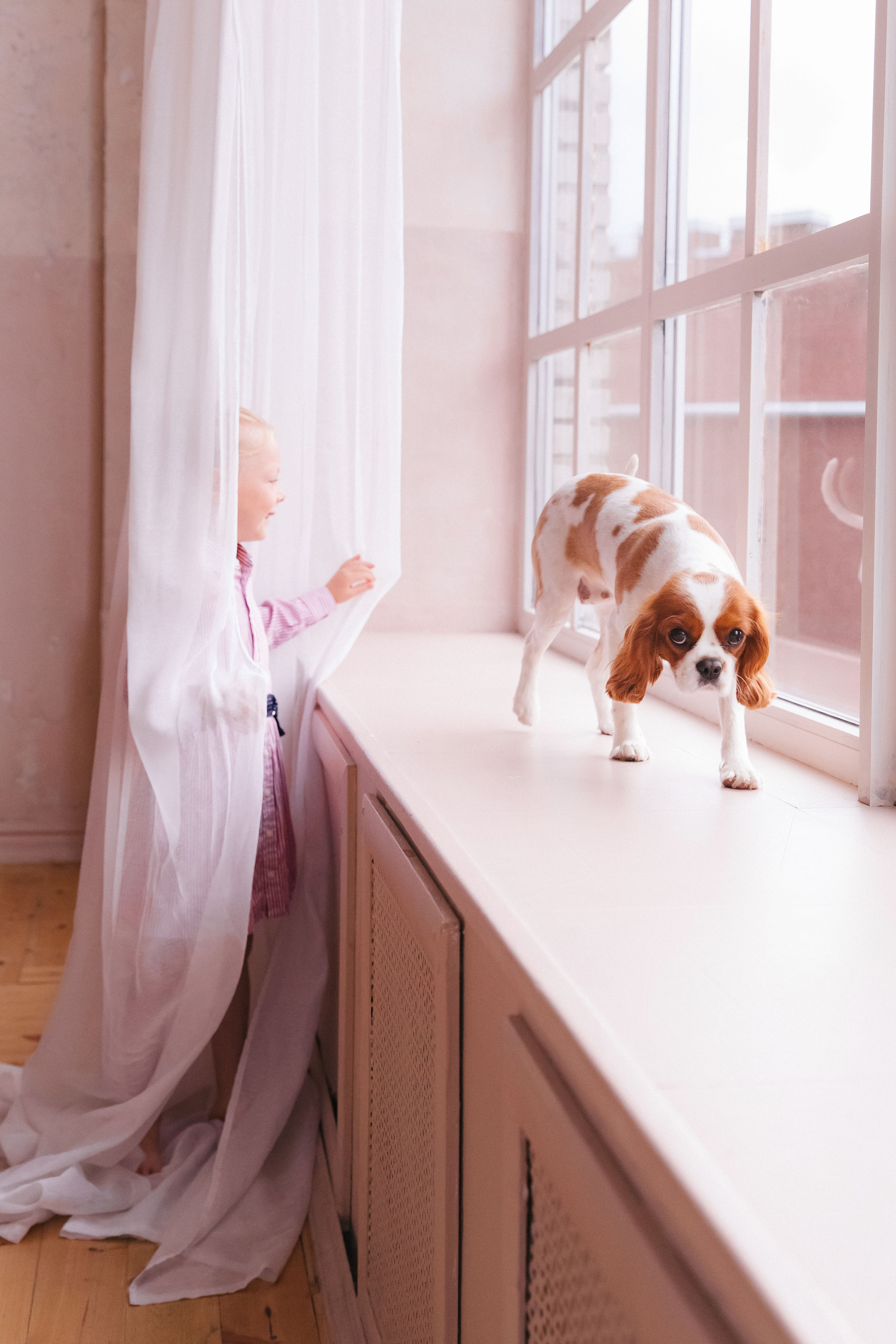 Юля, Тата и Золя. Свадебный и семейный фотограф в Санкт- Петербурге Гугучкина Полина