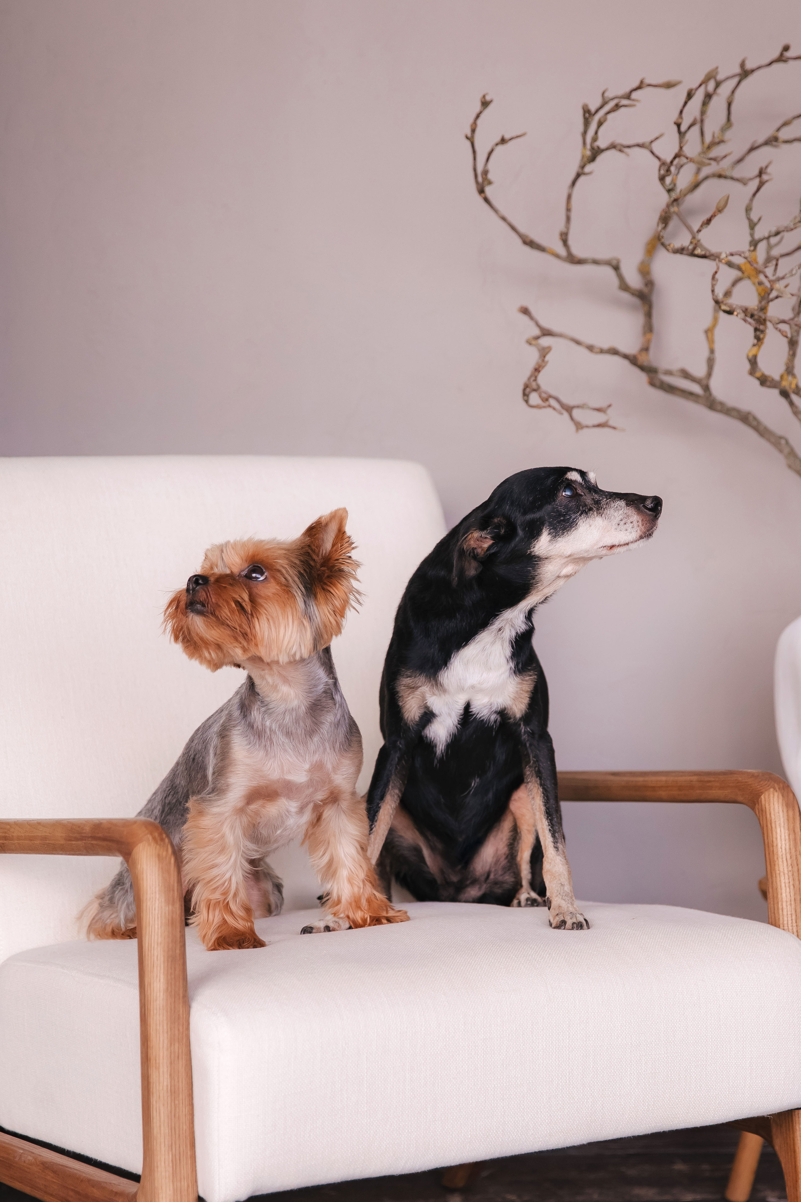 Василина и Антон. Свадебный и семейный фотограф в Санкт- Петербурге Гугучкина Полина