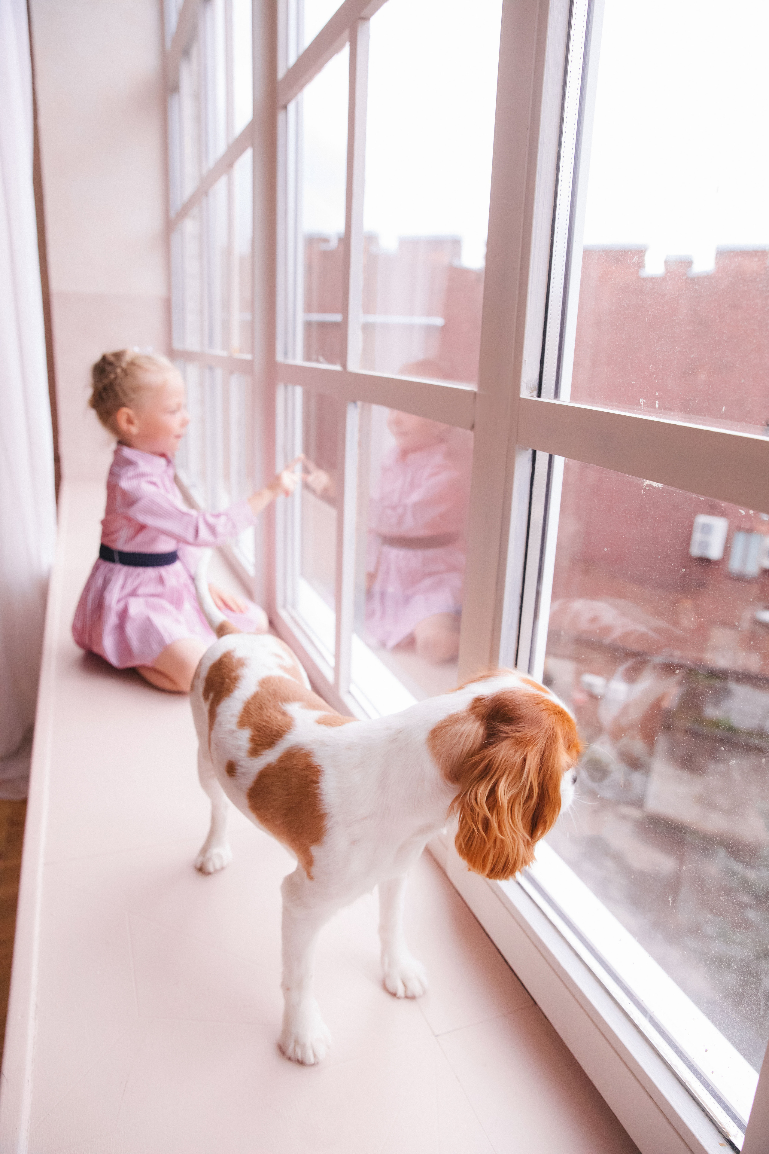 Юля, Тата и Золя. Свадебный и семейный фотограф в Санкт- Петербурге Гугучкина Полина