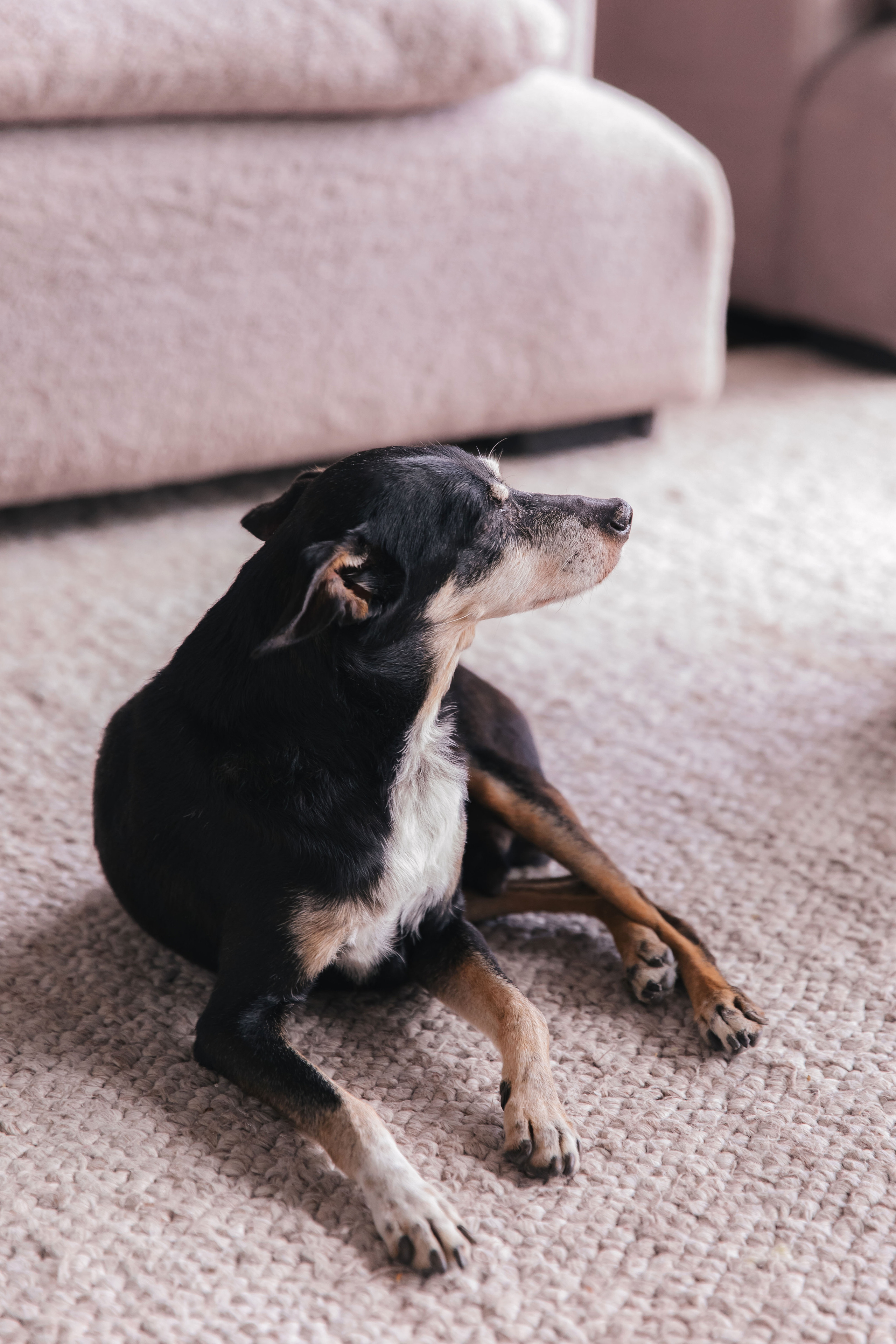 Василина и Антон. Свадебный и семейный фотограф в Санкт- Петербурге Гугучкина Полина