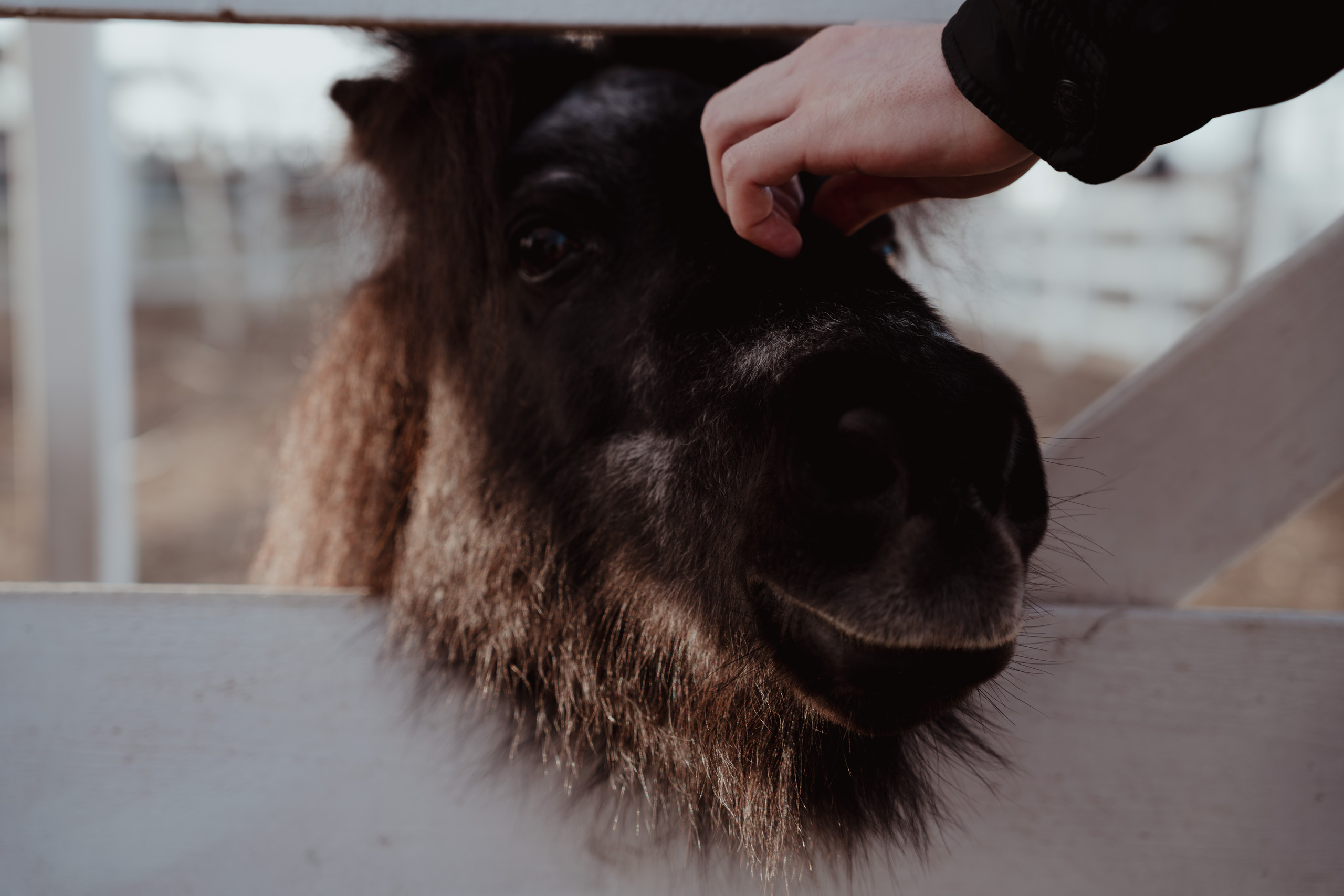 Кино. Концептуальный фотограф Шлыкова Ольга