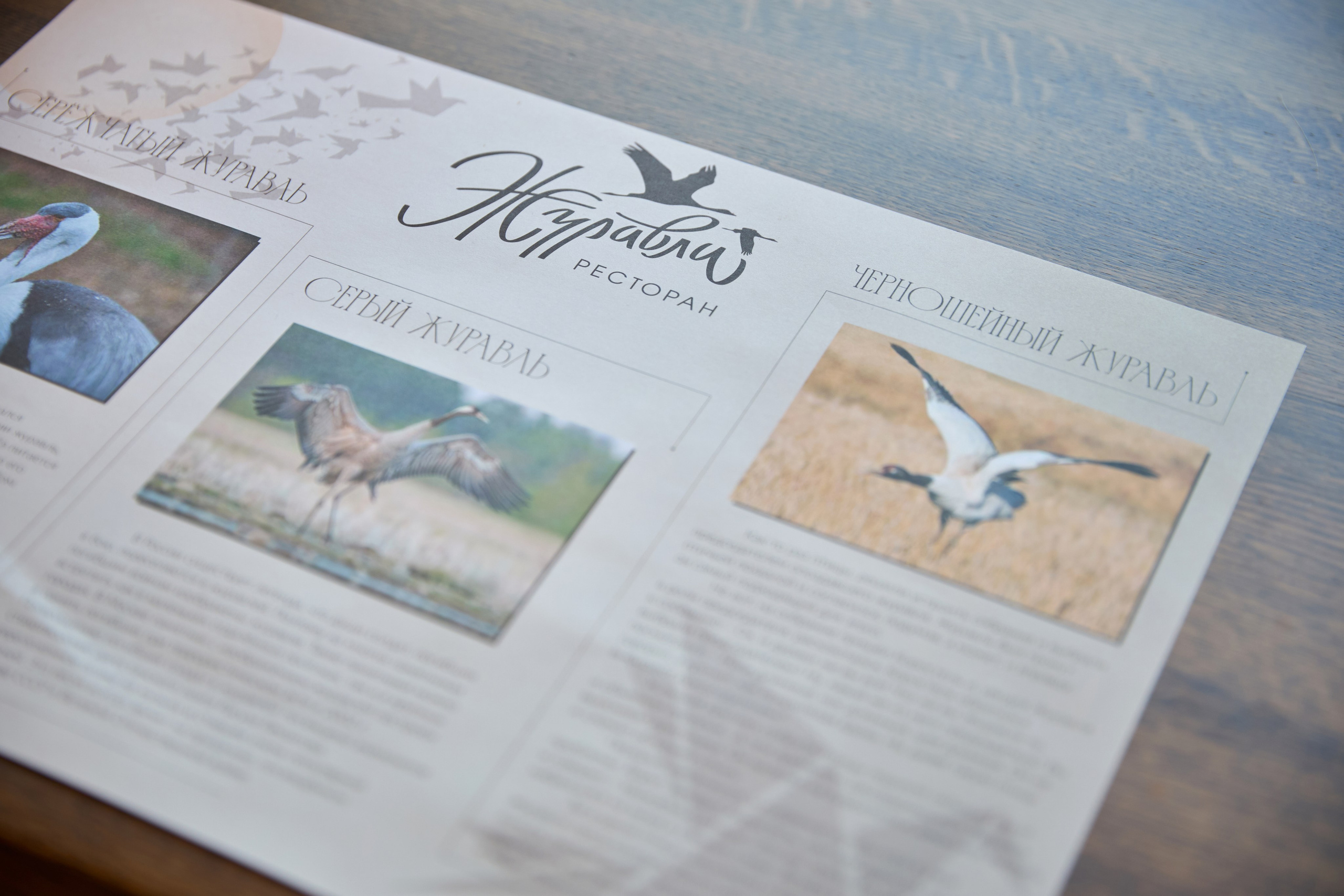 T2КОМ. Фотограф Липецк. Фотограф в Липецке Татьяна Минаева. Портретный фотограф Липецк. Свадебный фотограф Липецк. Бизнес фотограф Липецк