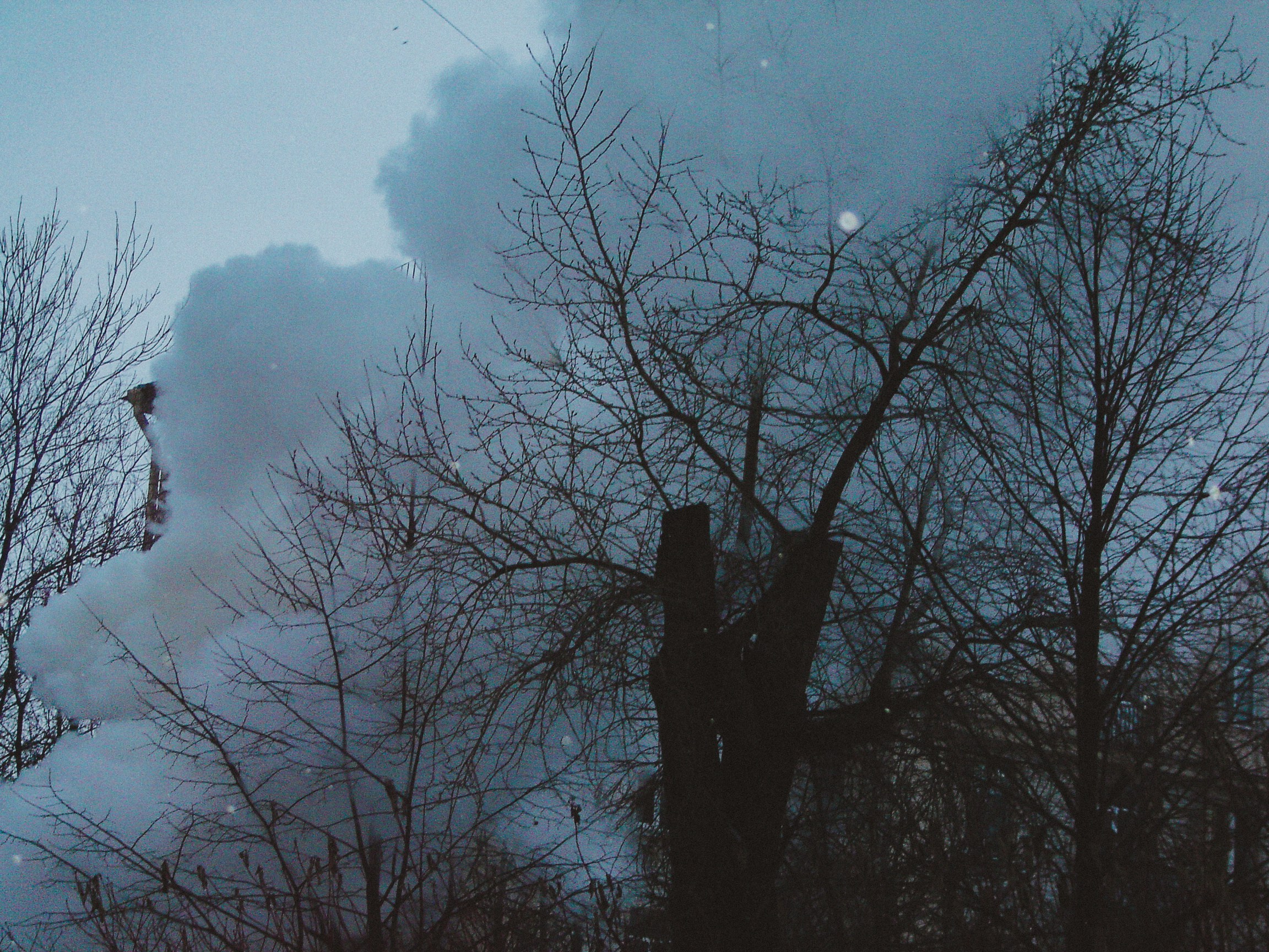 Sony cyber shot dsc p50. Анна Мильч