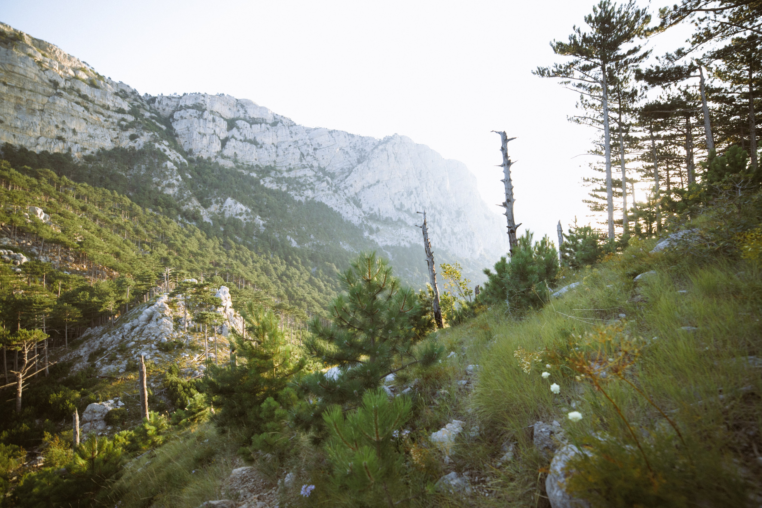 Nature. Артем Корнев Фотограф
