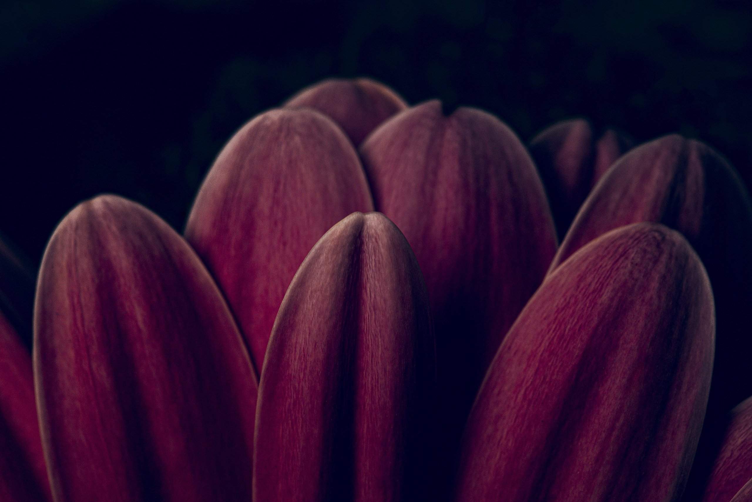 Арт-фото. Михаил Данилов | Фотограф