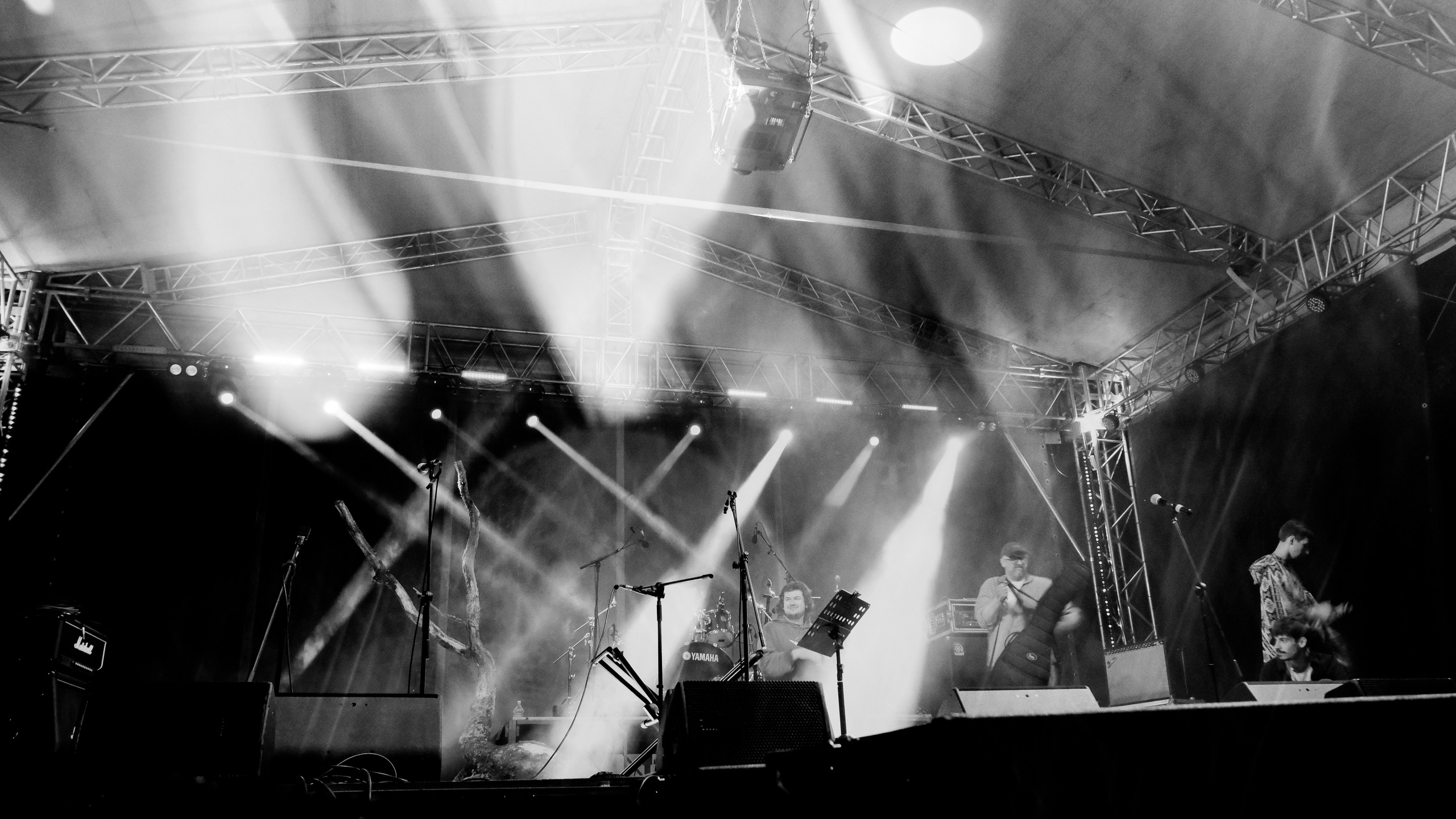 Insomnia2024. Фотограф и видеограф Апокина Мария Москва