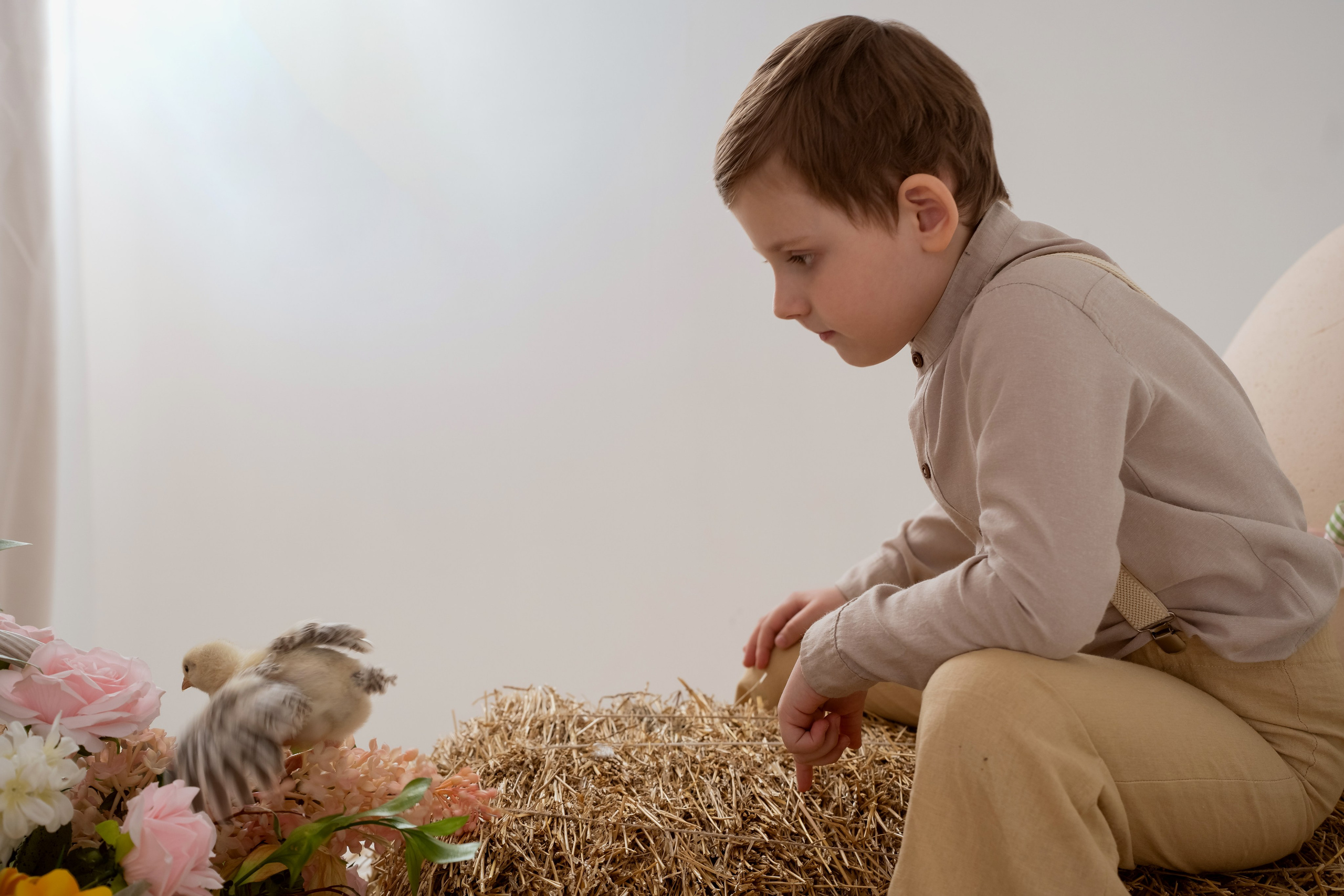 Дети и кролики. Главная