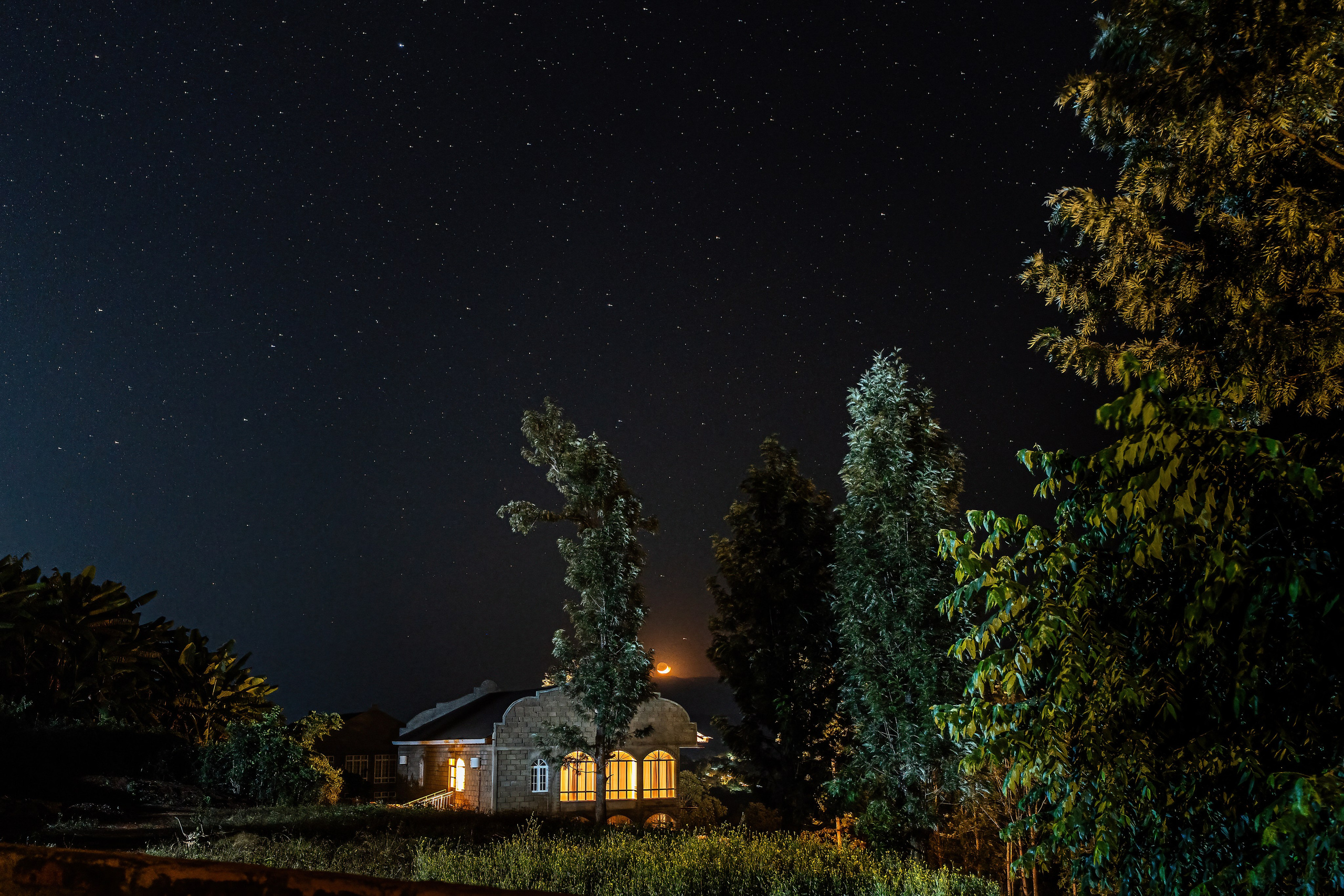 Танзания, сафари, 2025. Творческие сьемки