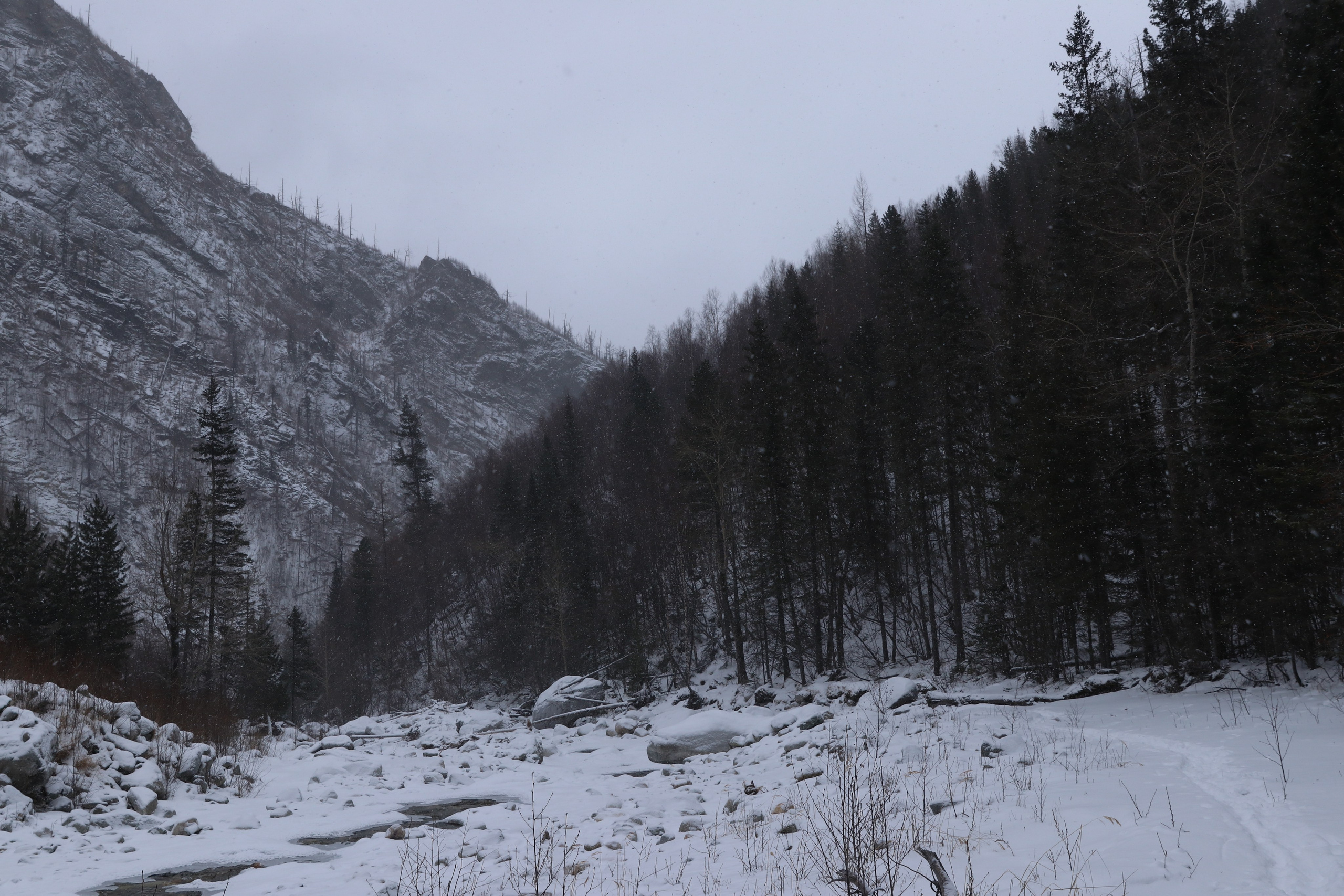 Аршан. Январь 2024. Путешественник-фотограф из Санкт-Петербурга Татьяна Свистулина