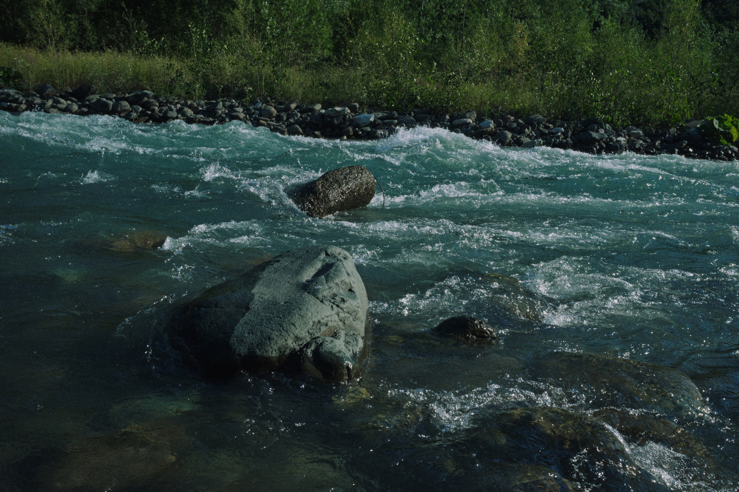 Летняя поездка в Красную поляну. Елена Павленко. Фотограф. Москва