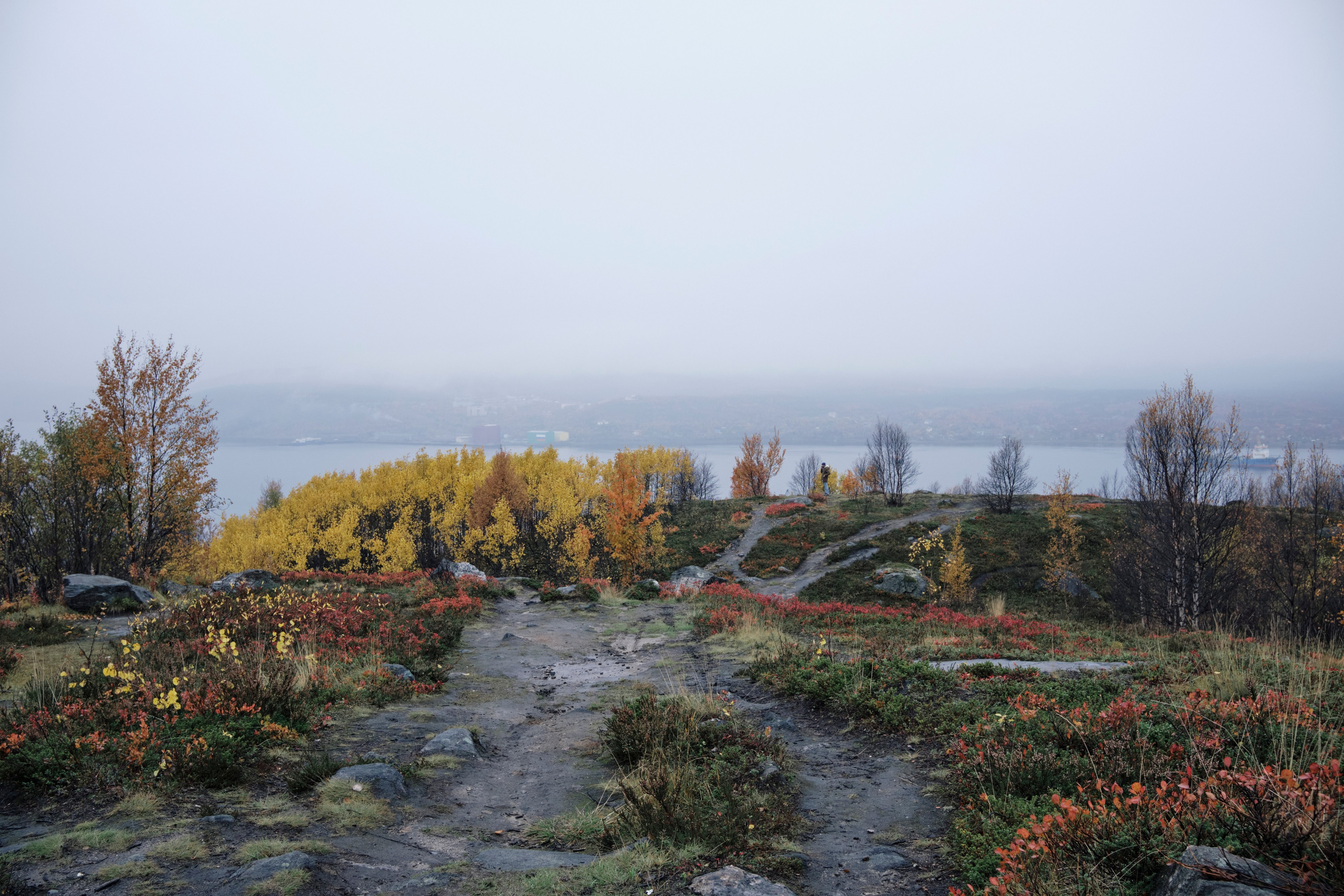 Поездка в Мурманск. Заметки и фото. Елена Павленко. Фотограф. Москва