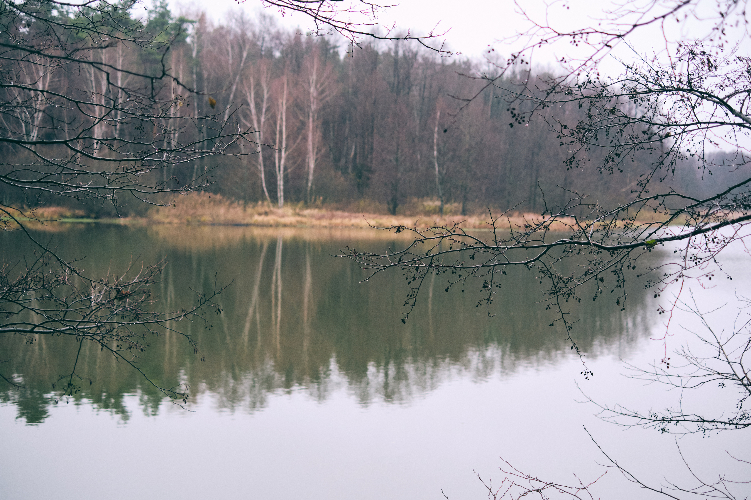 Фотосессия молодого спортсмена на пробежке. Елена Павленко. Фотограф. Москва