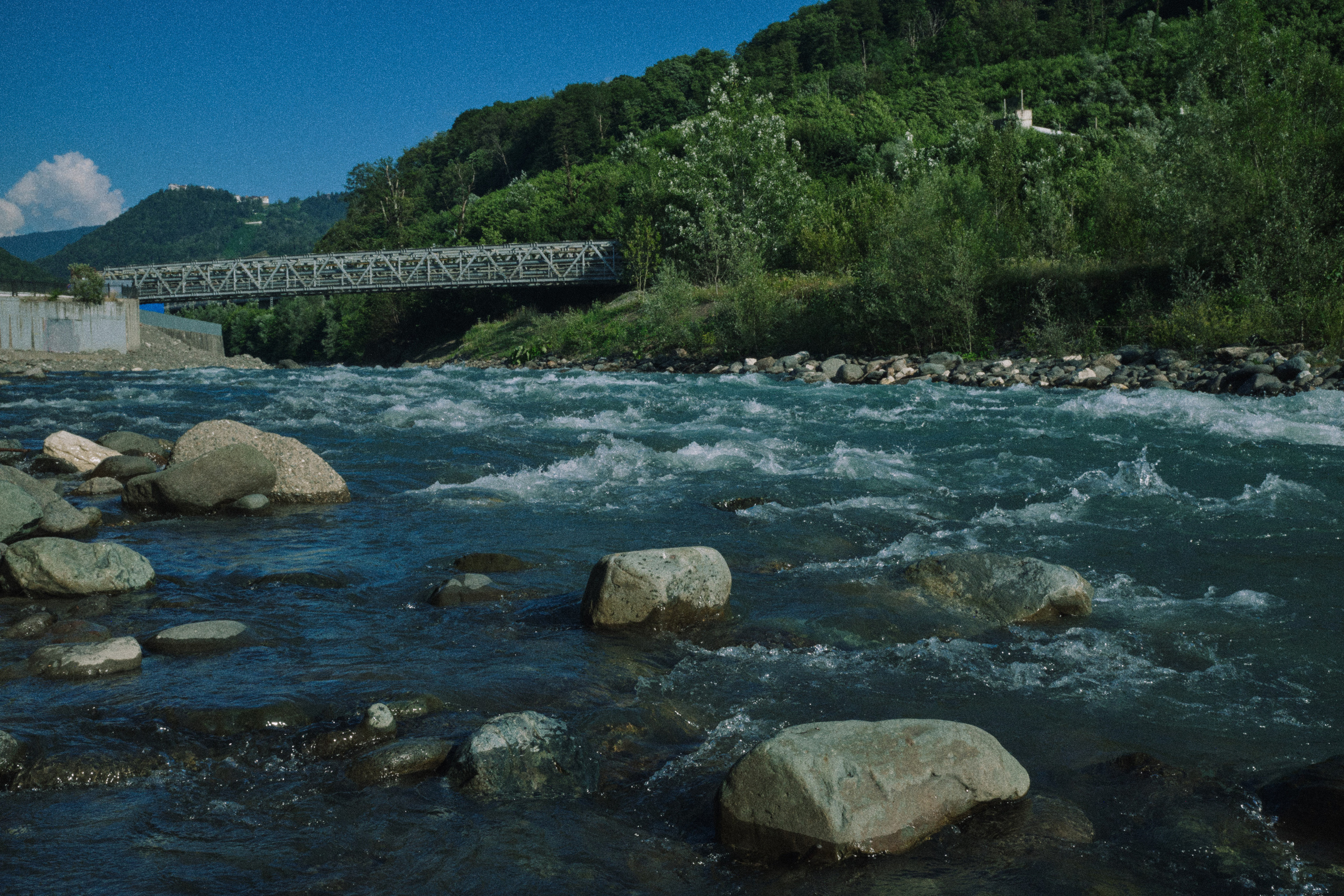 Летняя поездка в Красную поляну. Елена Павленко. Фотограф. Москва