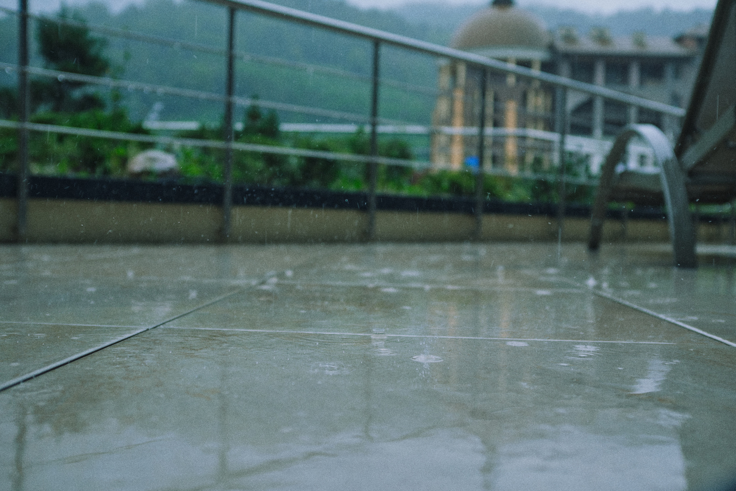 Летняя поездка в Красную поляну. Елена Павленко. Фотограф. Москва