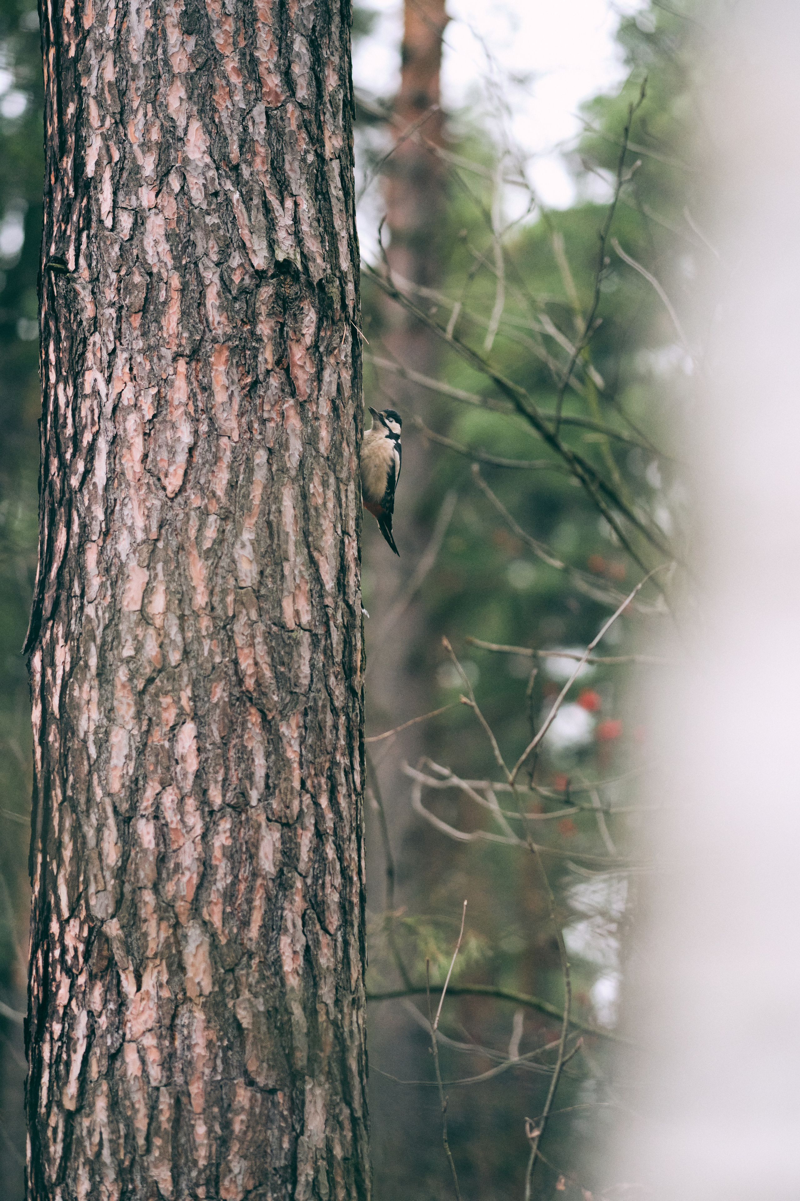 Фотосессия молодого спортсмена на пробежке. Елена Павленко. Фотограф. Москва