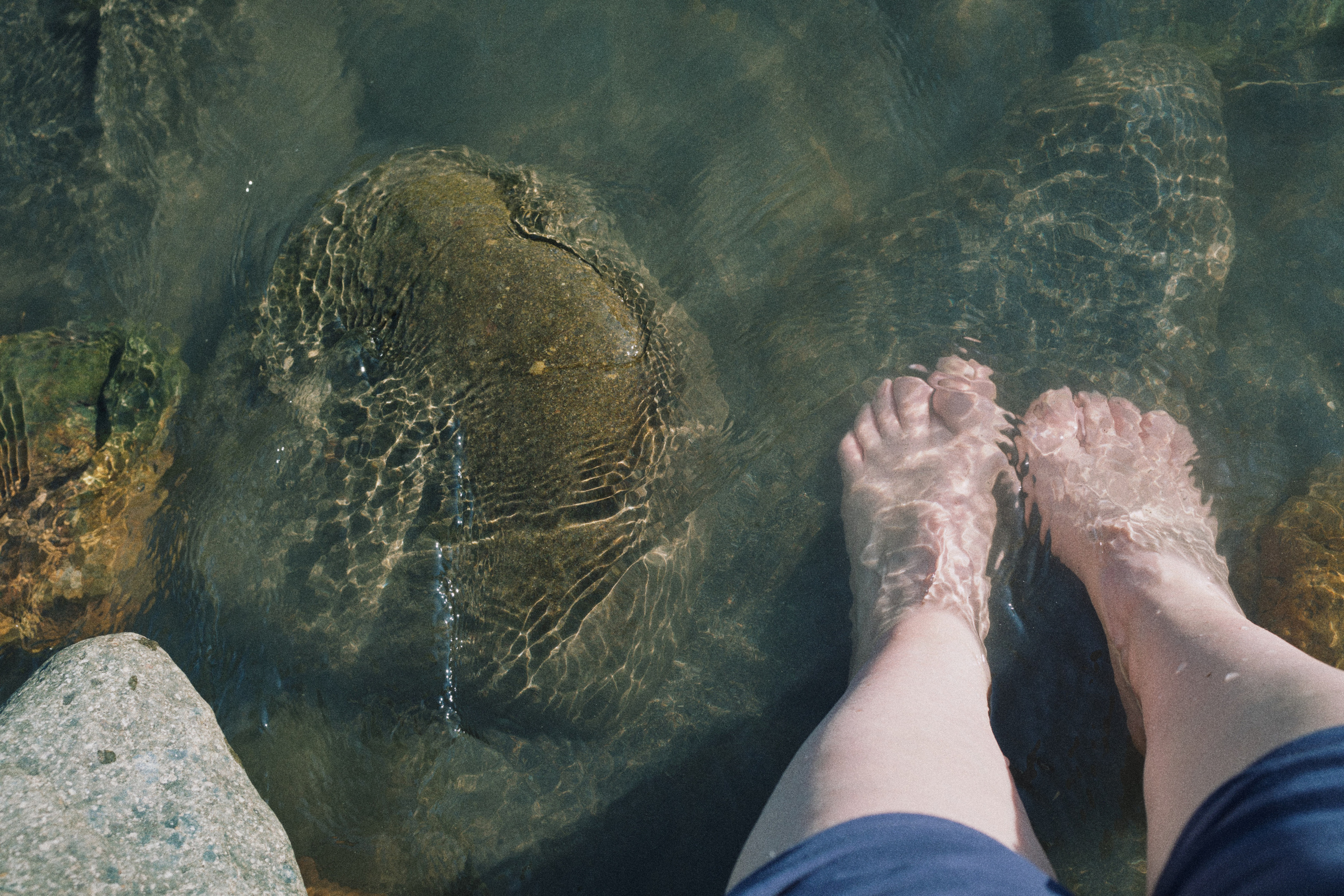 Летняя поездка в Красную поляну. Елена Павленко. Фотограф. Москва