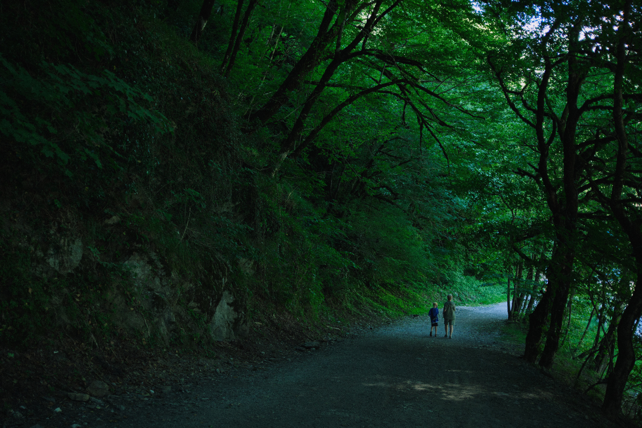Летняя поездка в Красную поляну. Елена Павленко. Фотограф. Москва