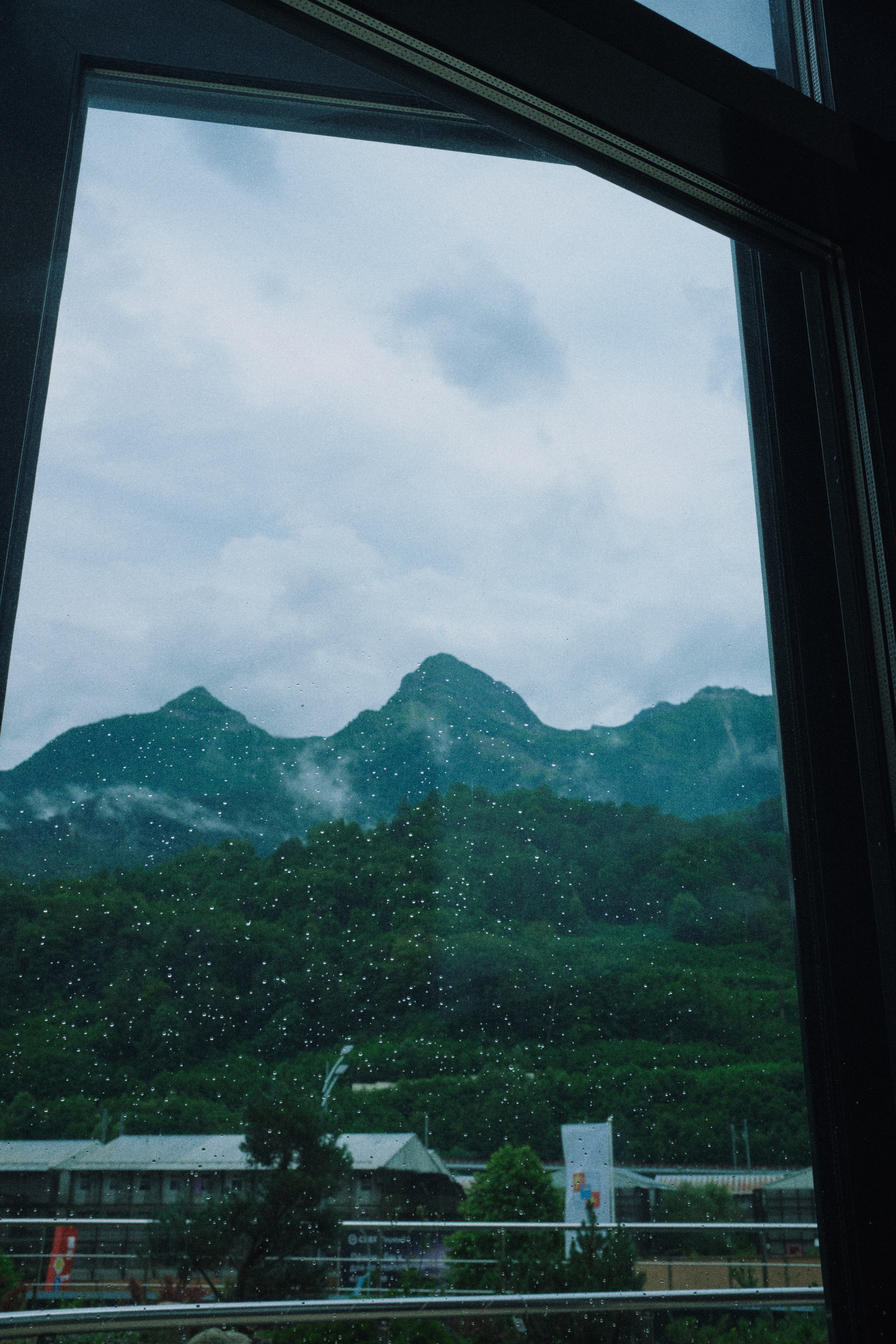 Летняя поездка в Красную поляну. Елена Павленко. Фотограф. Москва