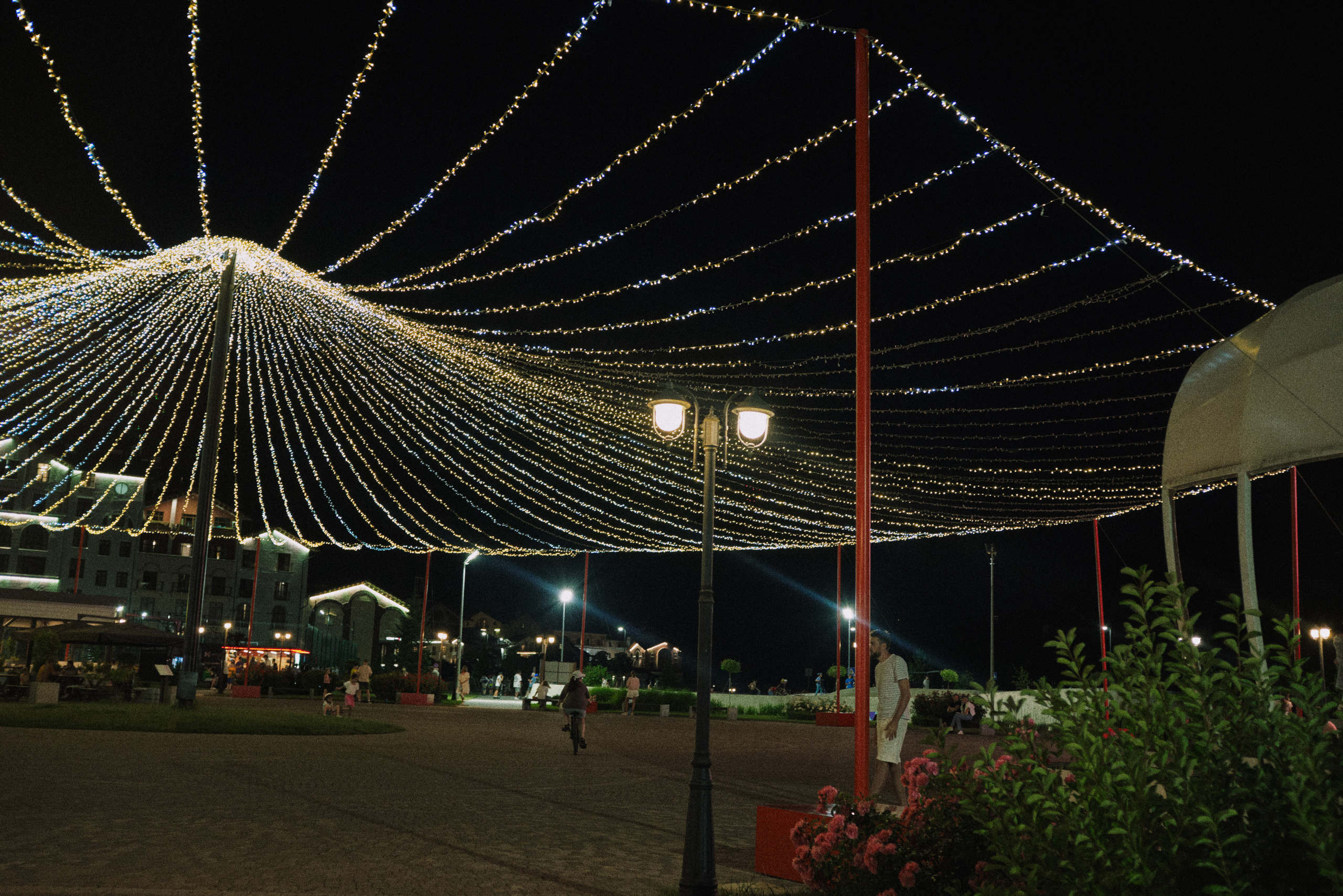 Летняя поездка в Красную поляну. Елена Павленко. Фотограф. Москва