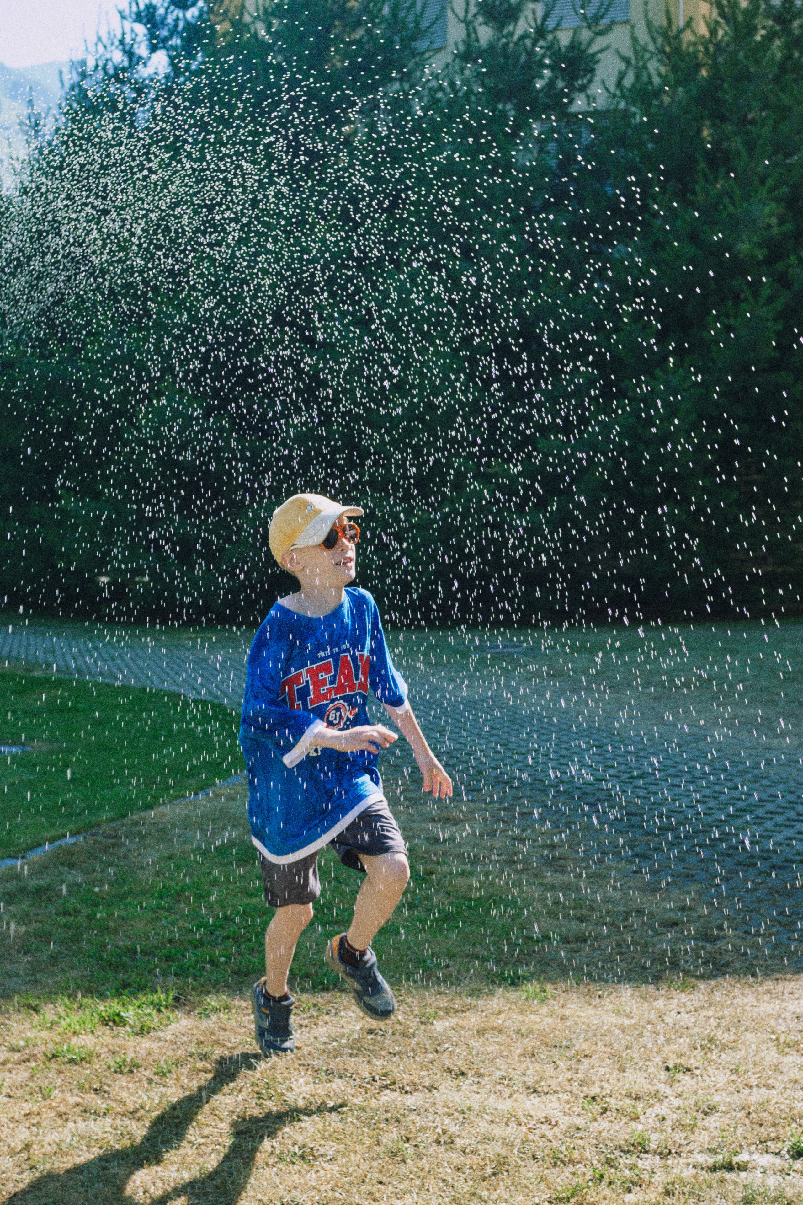 Летняя поездка в Красную поляну. Елена Павленко. Фотограф. Москва