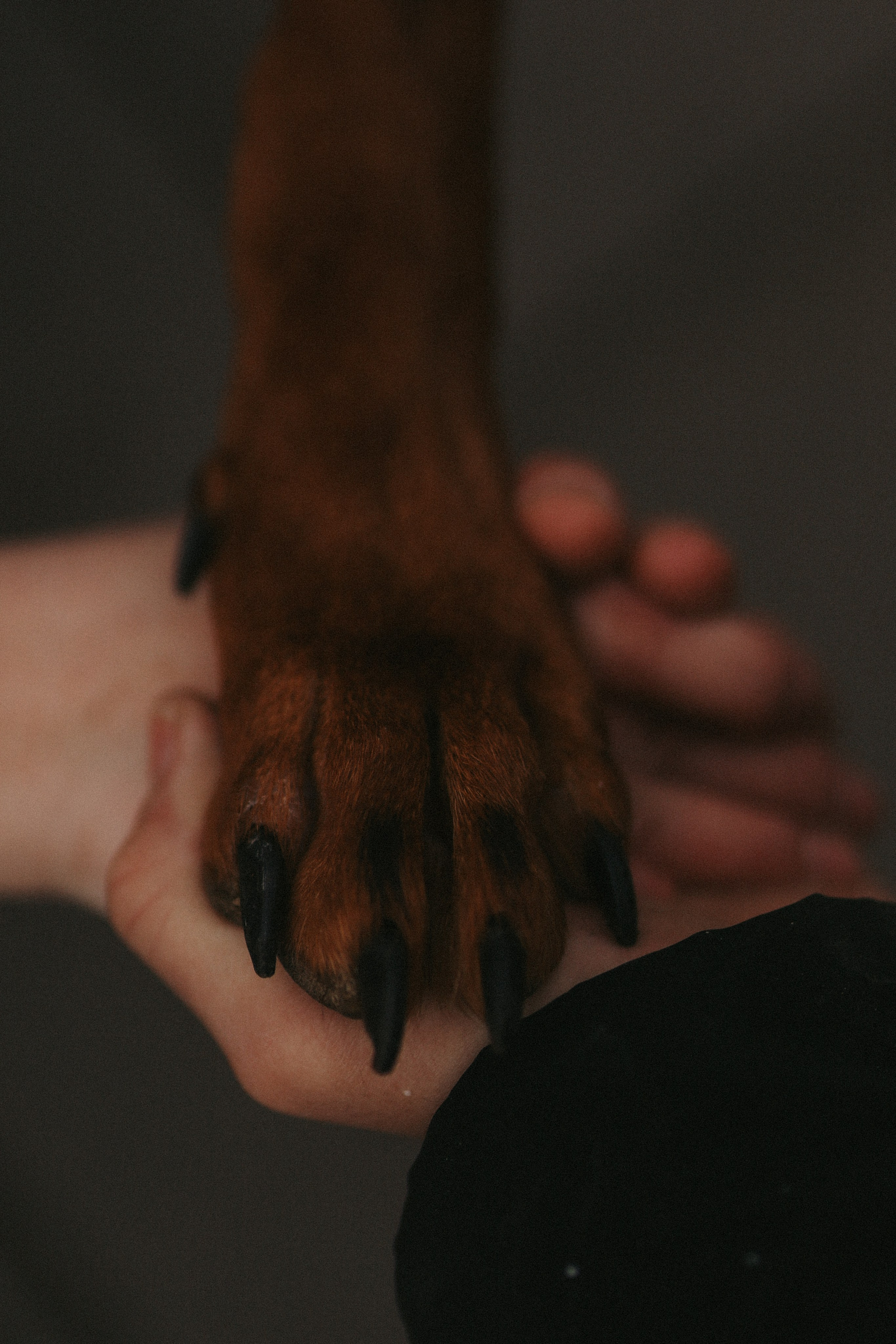 Избранное. Фотограф в Жезказгане. Графический дизайнер