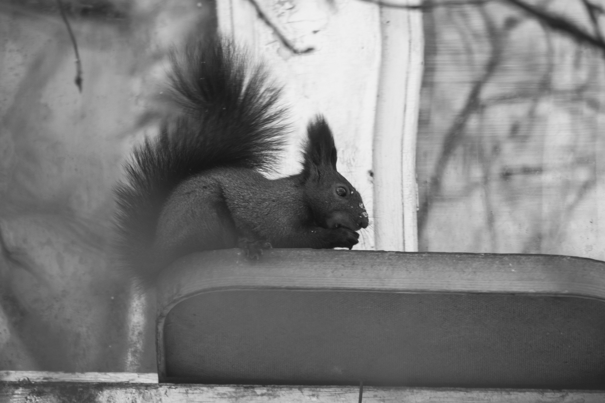 Якутия, Нерюнгри. Фотограф Алексей Скоробогатько