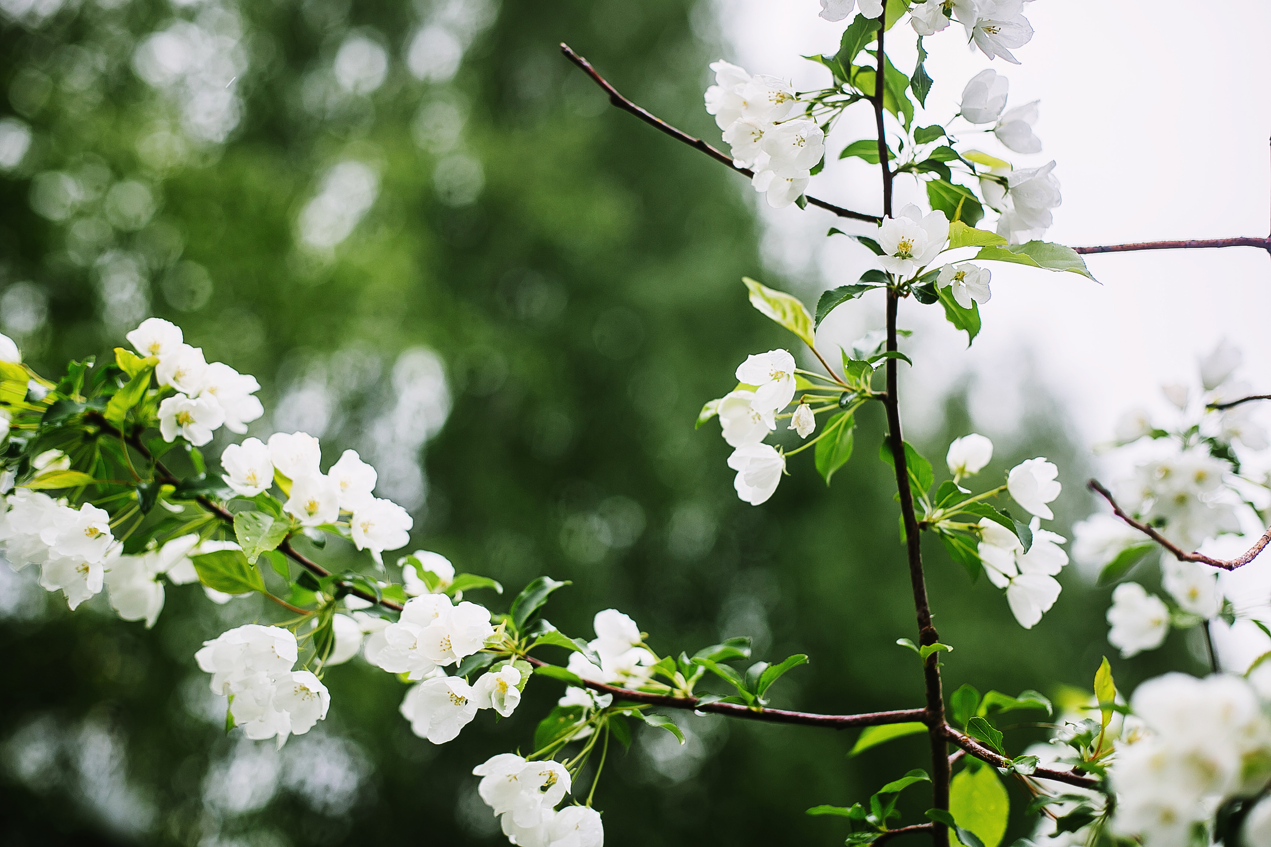 Катерина. Фотограф Полина Егорова город Тюмень
