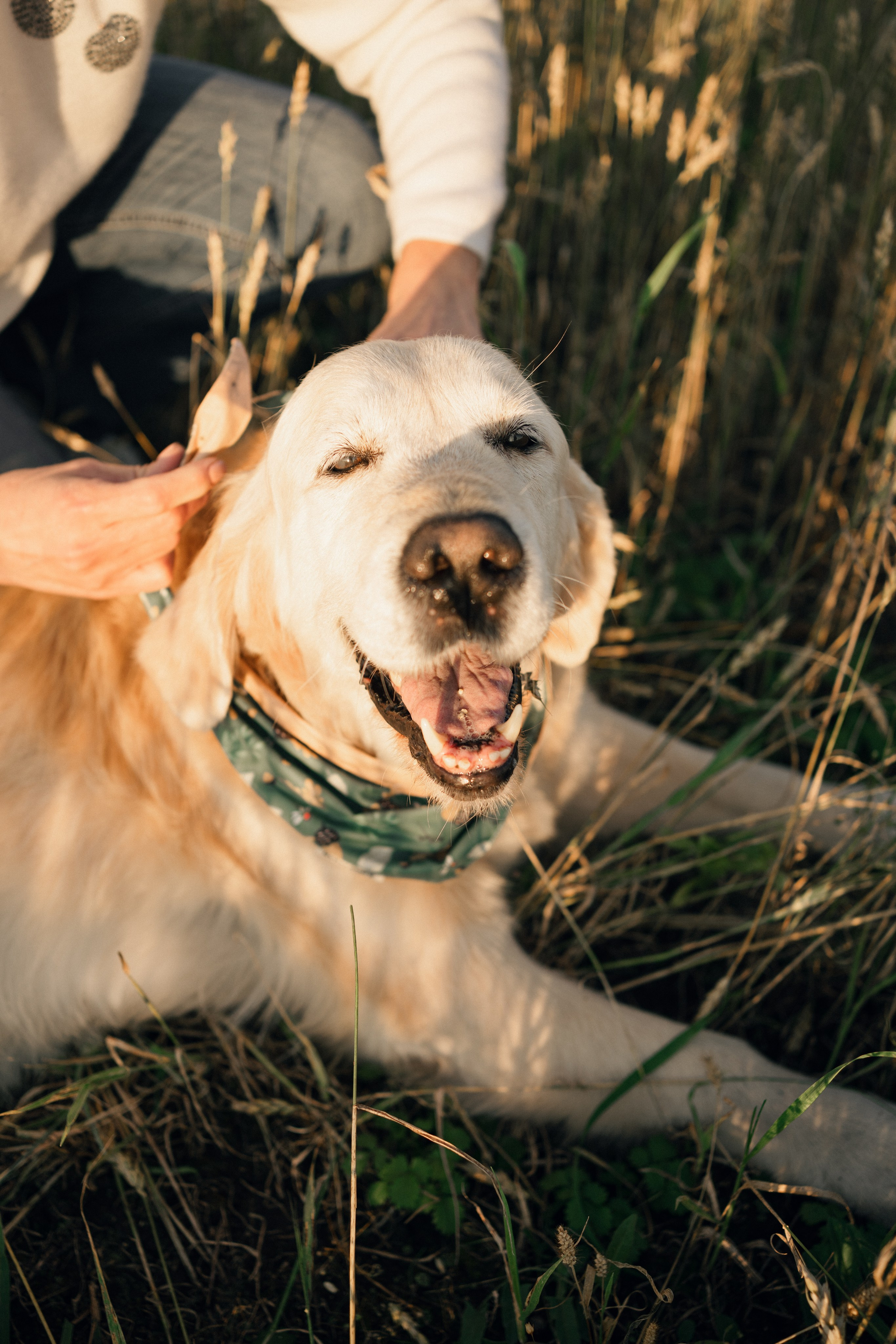 Дарья, Люба и Ред. Фотограф-анималист Анастасия Большакова