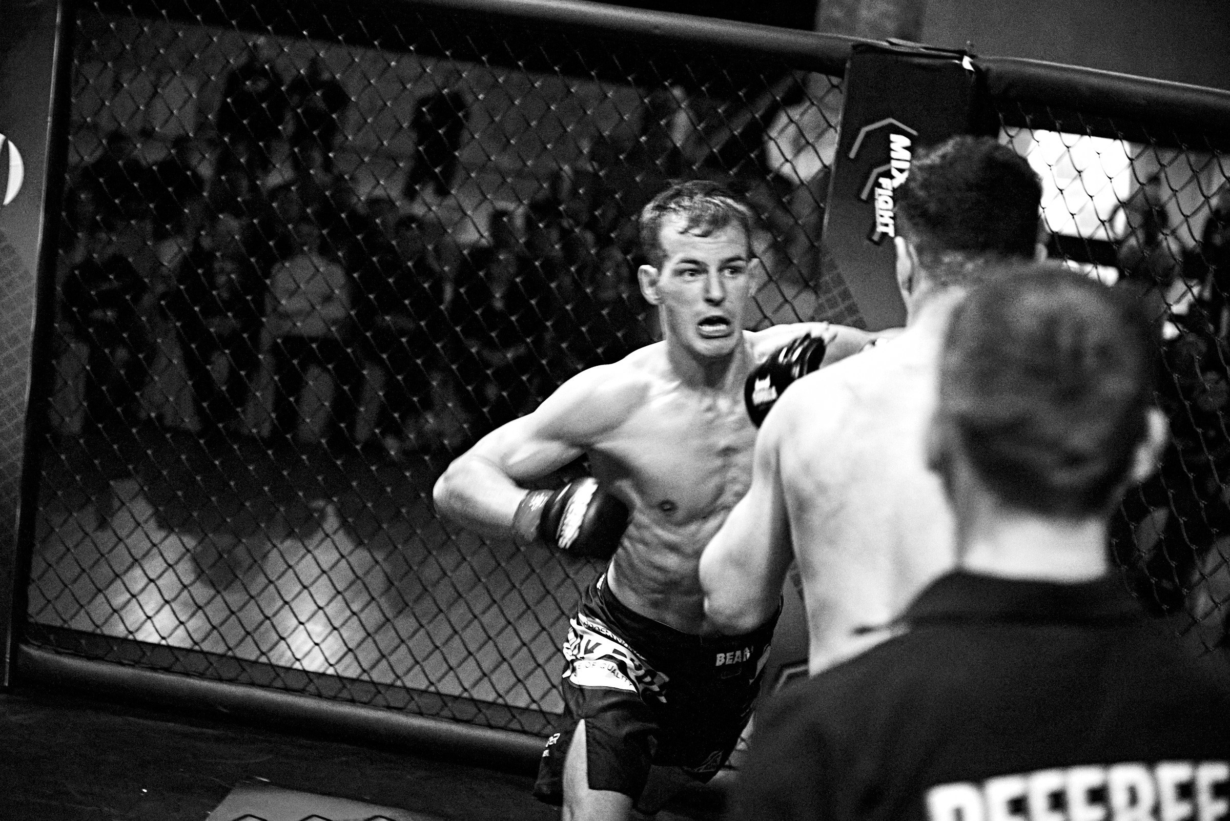 Бои. Маляревич Дмитрий свадебный фотограф