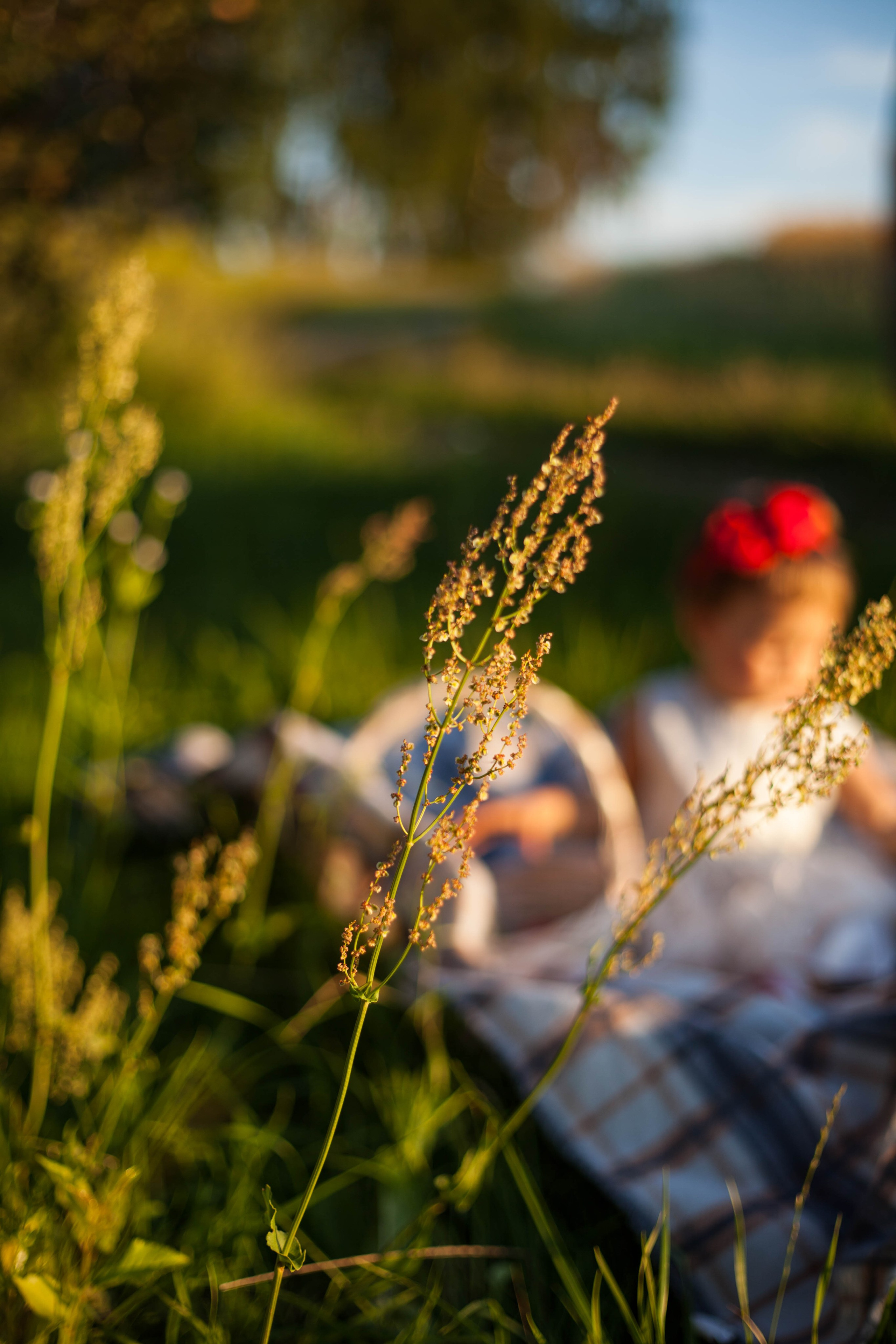Машенька. Портретный, семейный, свадебный фотограф в Брянске Маргарита Василькова