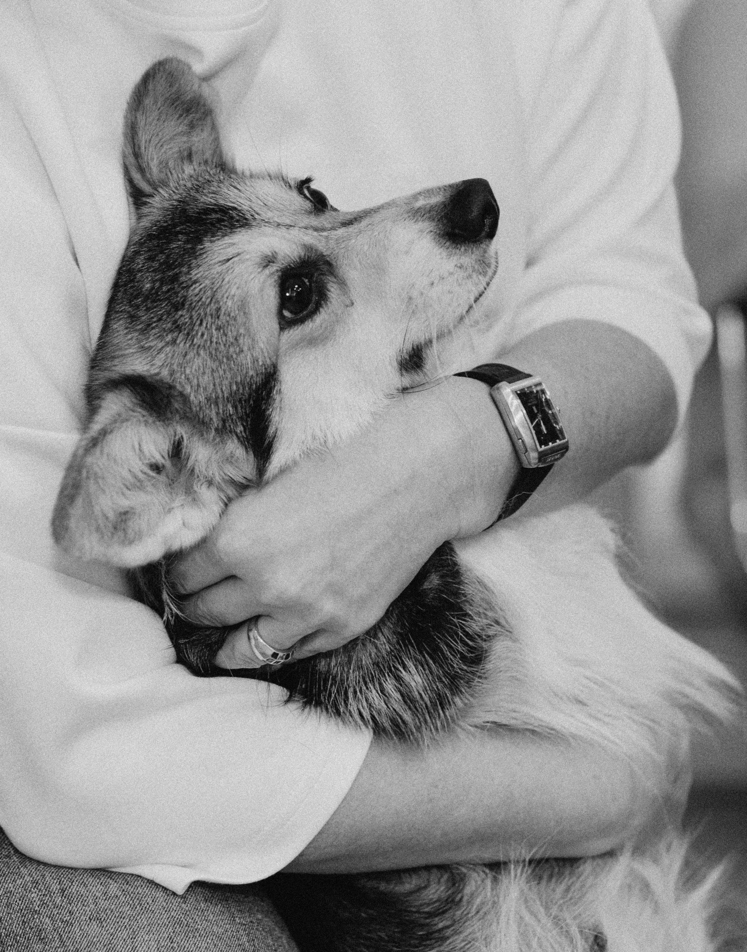 Зимний день Сергея, Софии и «хвостиков». Женский и семейный фотограф Сочи и Краснодар Ольга Маловик