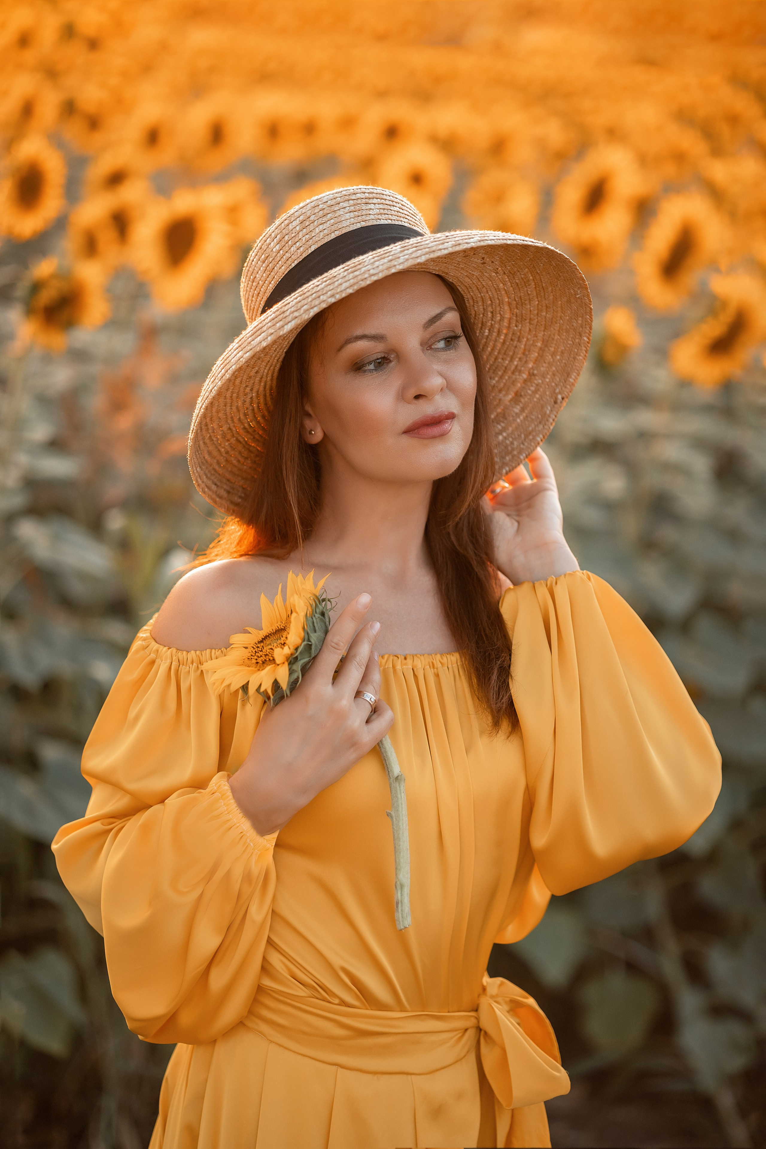 Солнечные подсолнухи. Художественный фотограф Анапа Александра Долбикова